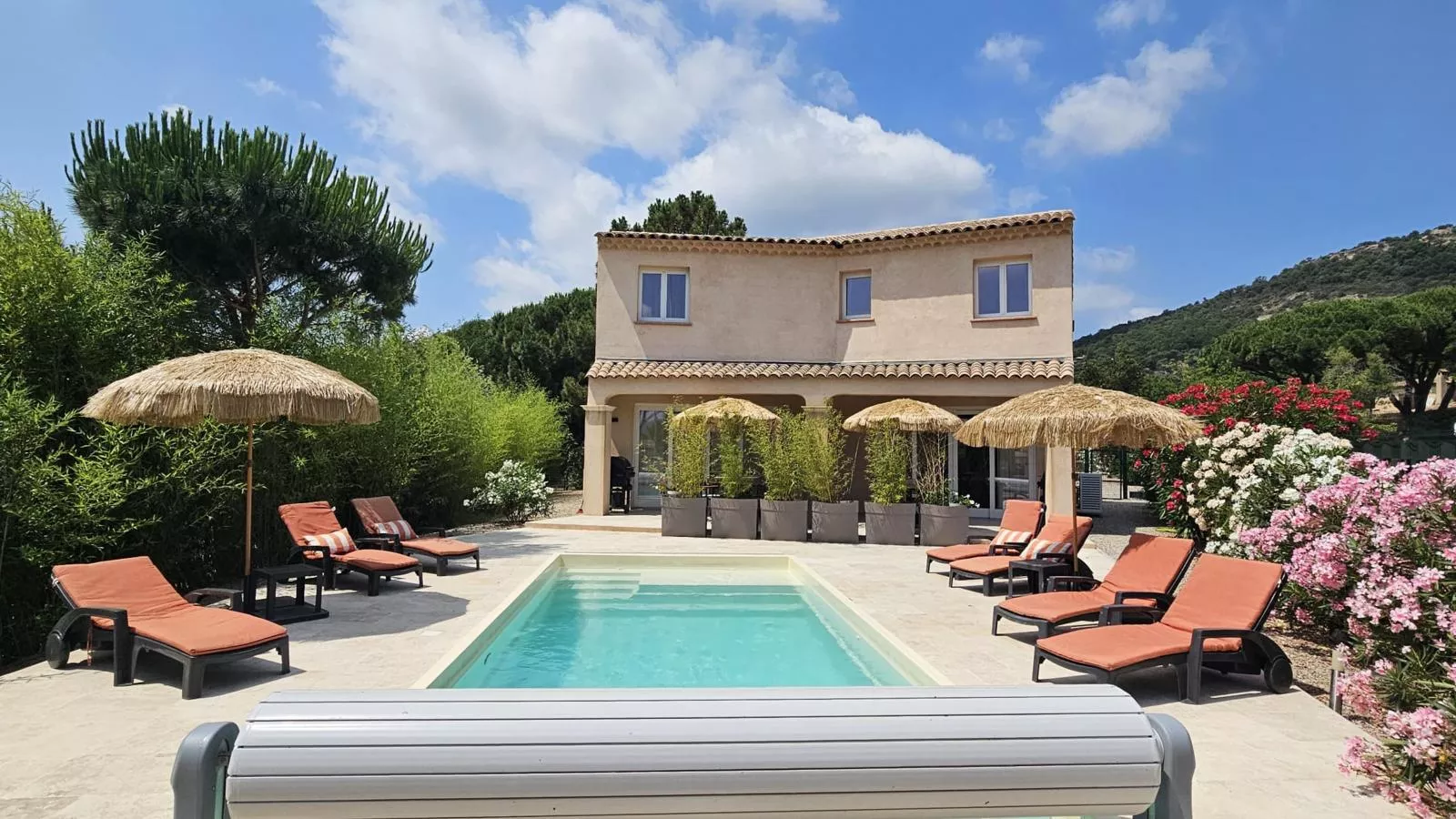 Bambou-Swimming pool