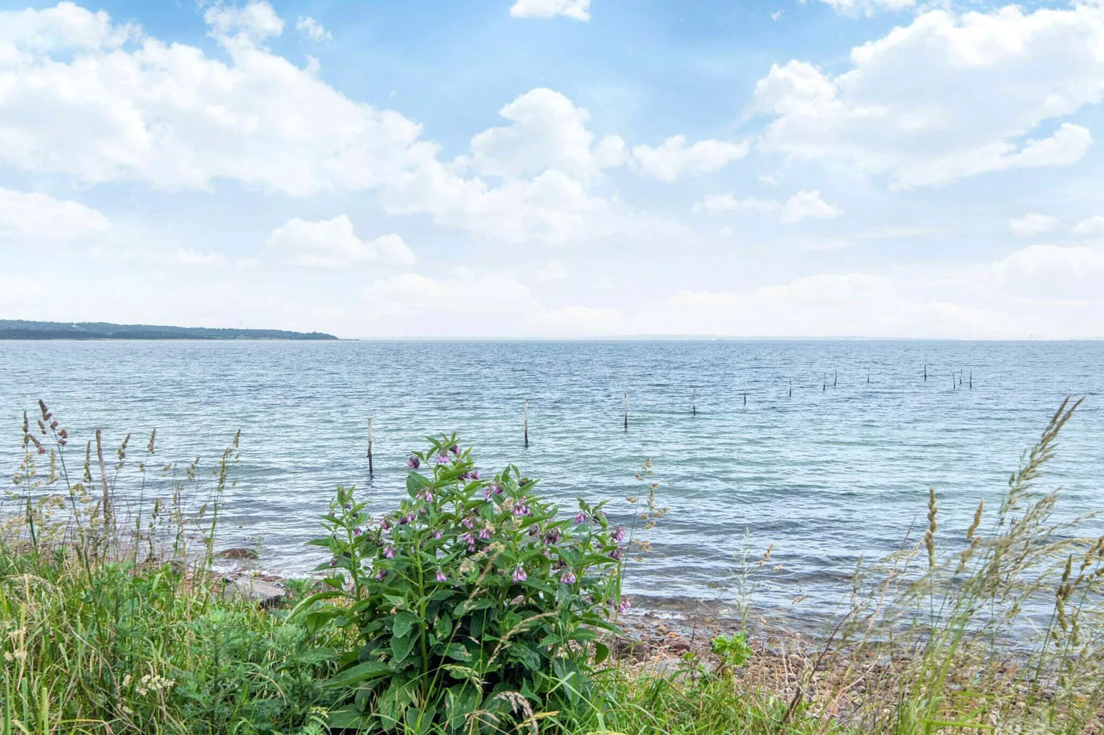 5 Personen Ferienhaus in Knebel-Nicht zugeordnet