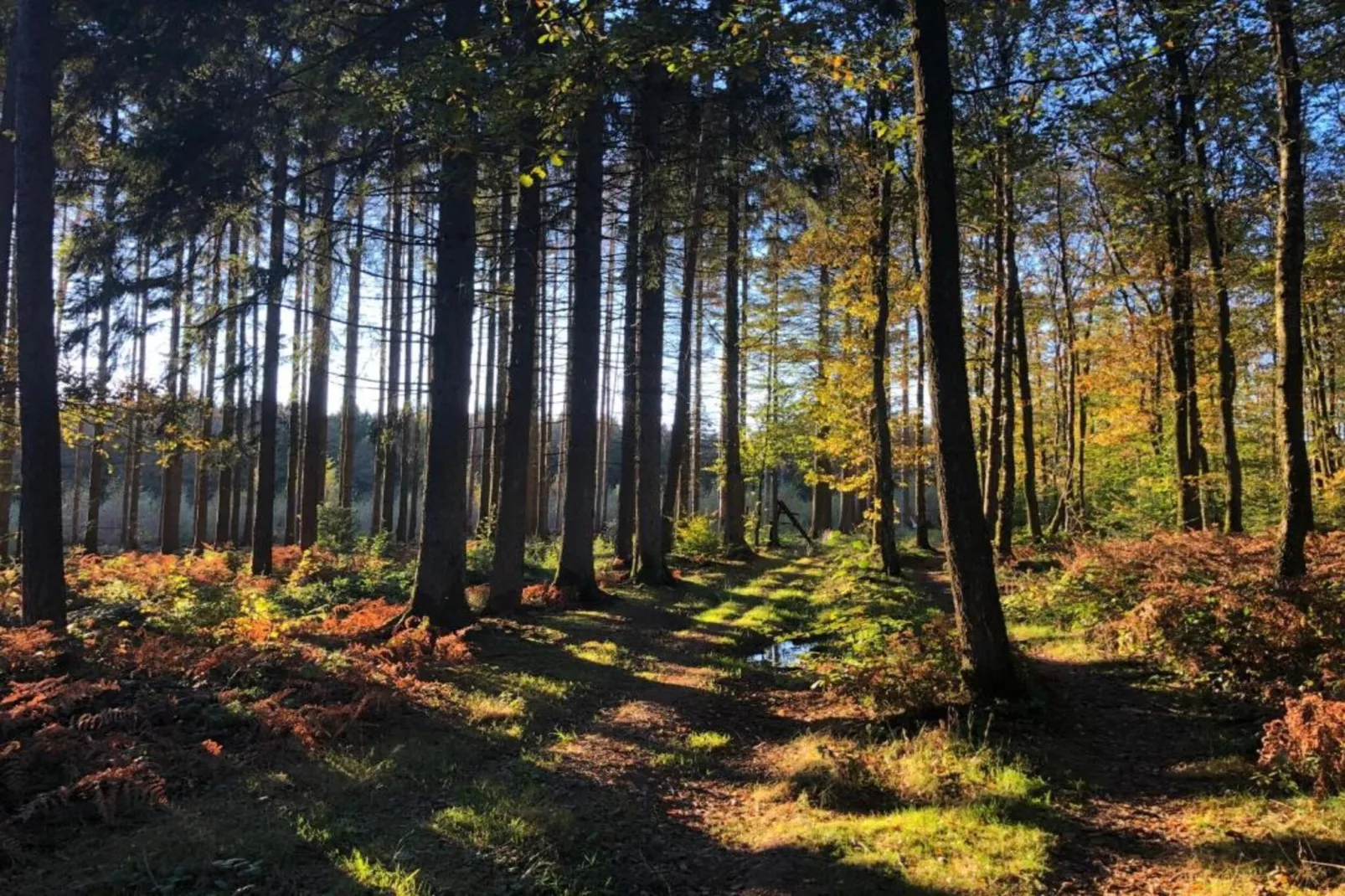 Les Trois Feuilles-Gebiete Sommer 20 km