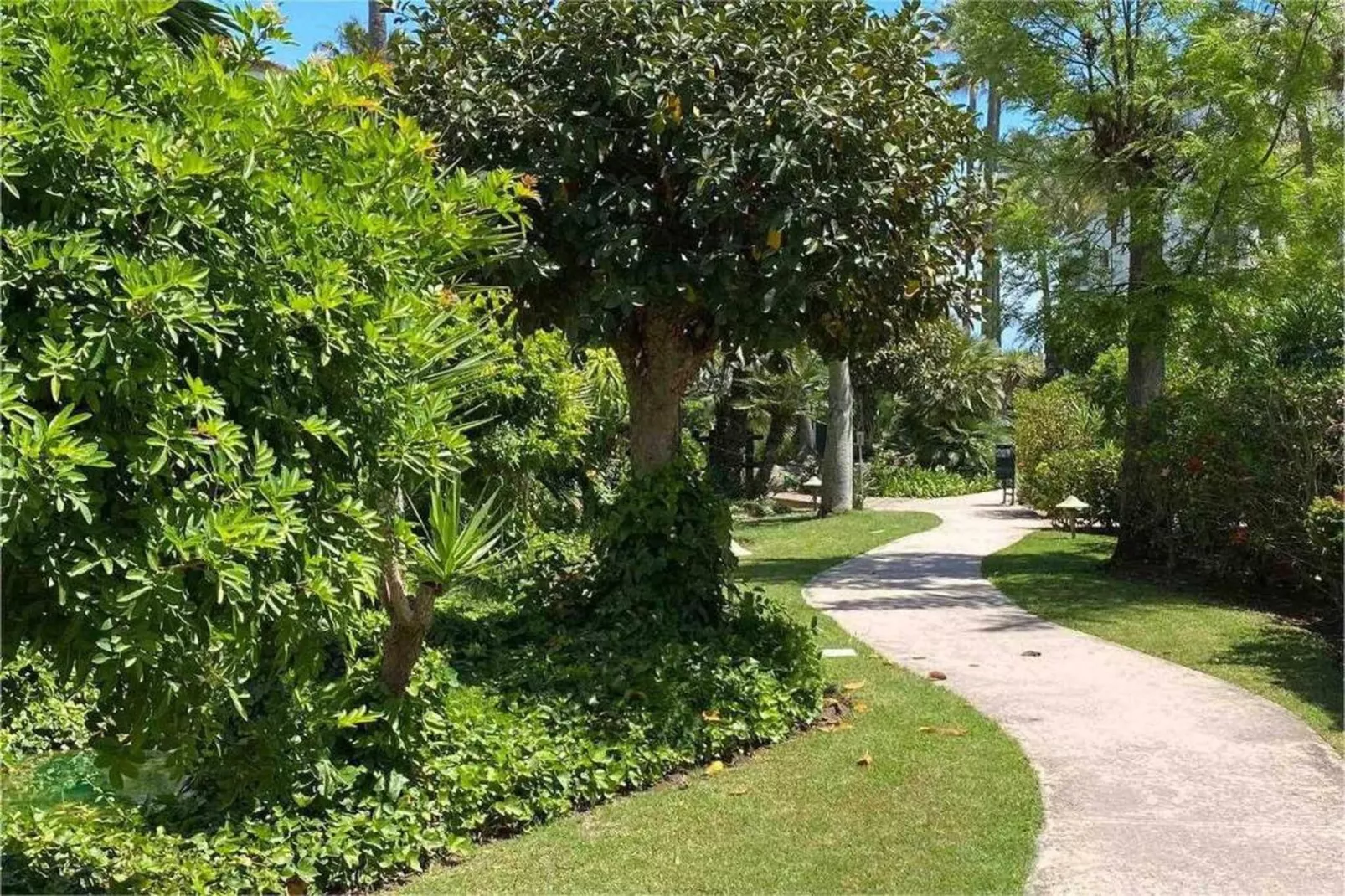 Benavista Studio - El Paraiso-Areas within 20km in summer