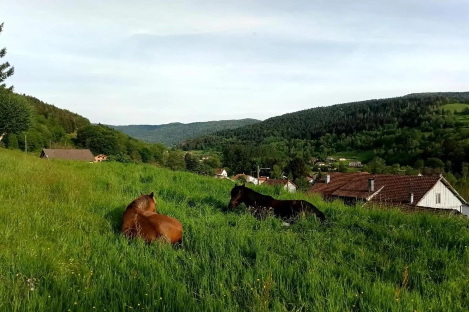 La Coccinelle et Salamandre-Areas within 20km in summer