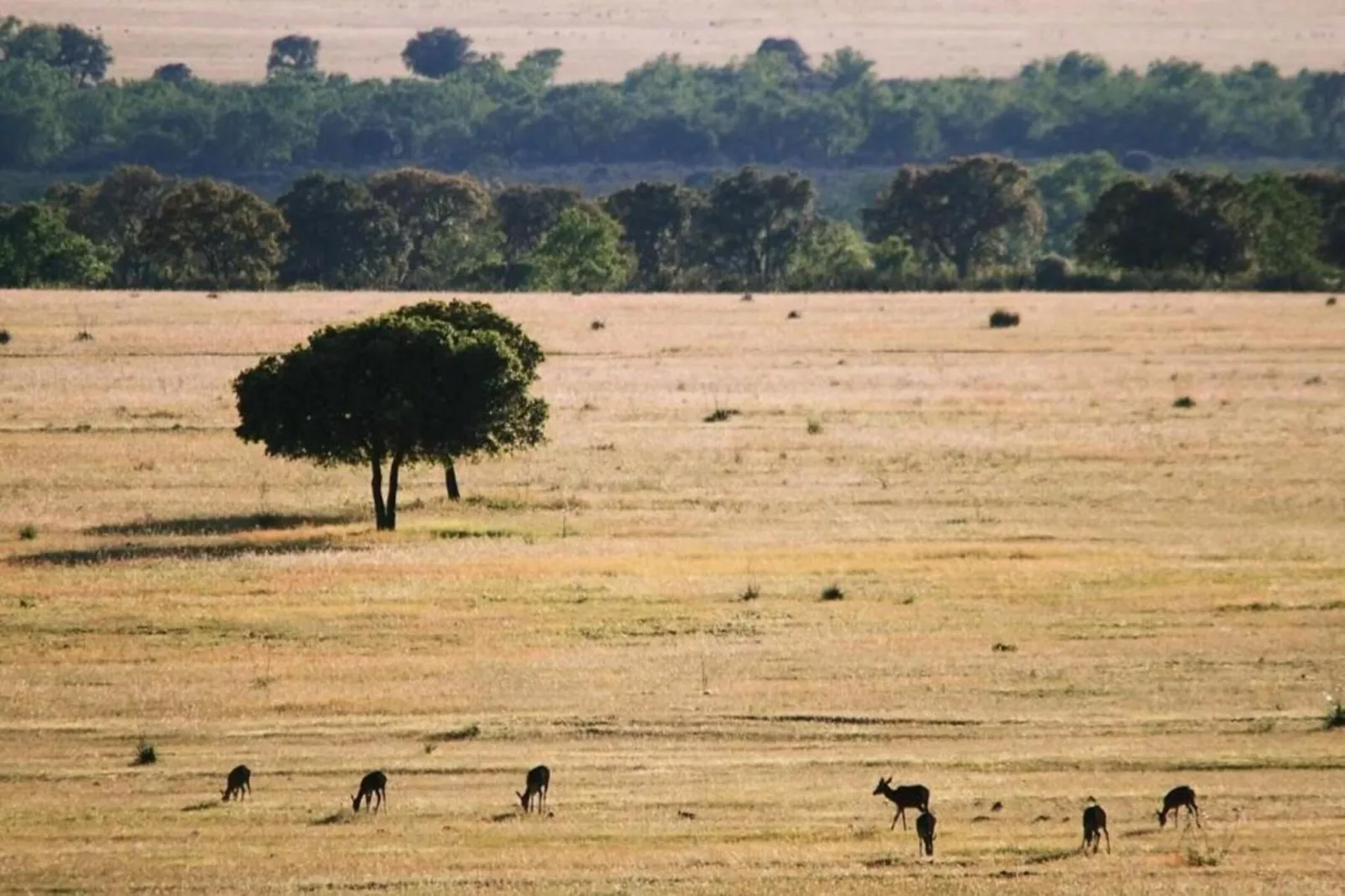 La Fuente Gorda-Areas within 20km in summer