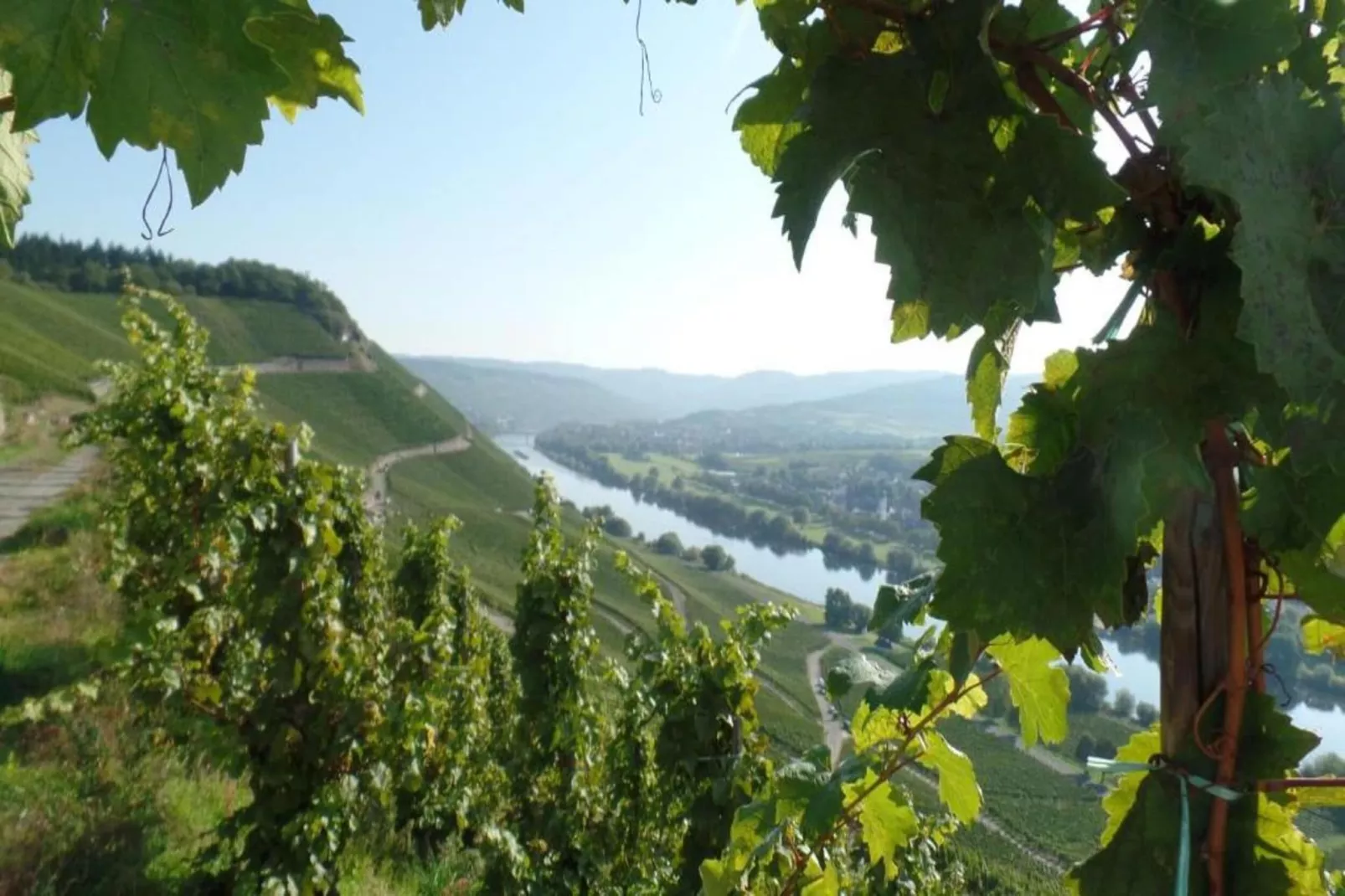 Ferienhaus der Saison an der Mosel-Gebiete Sommer 20 km