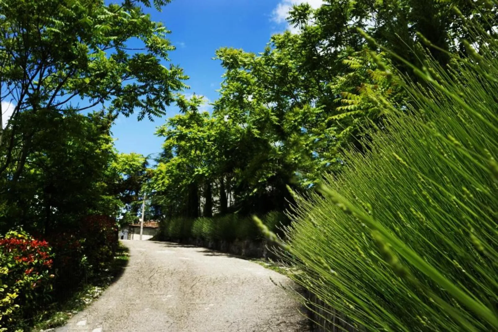 Leccio-Gebiete Sommer 20 km