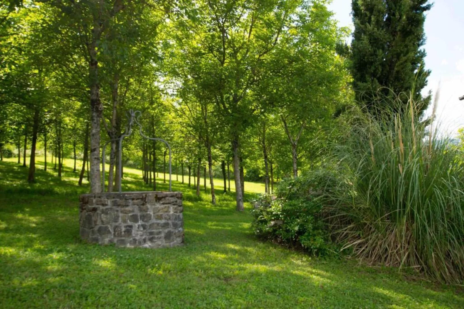 Il Cipresso-Gebiete Sommer 20 km