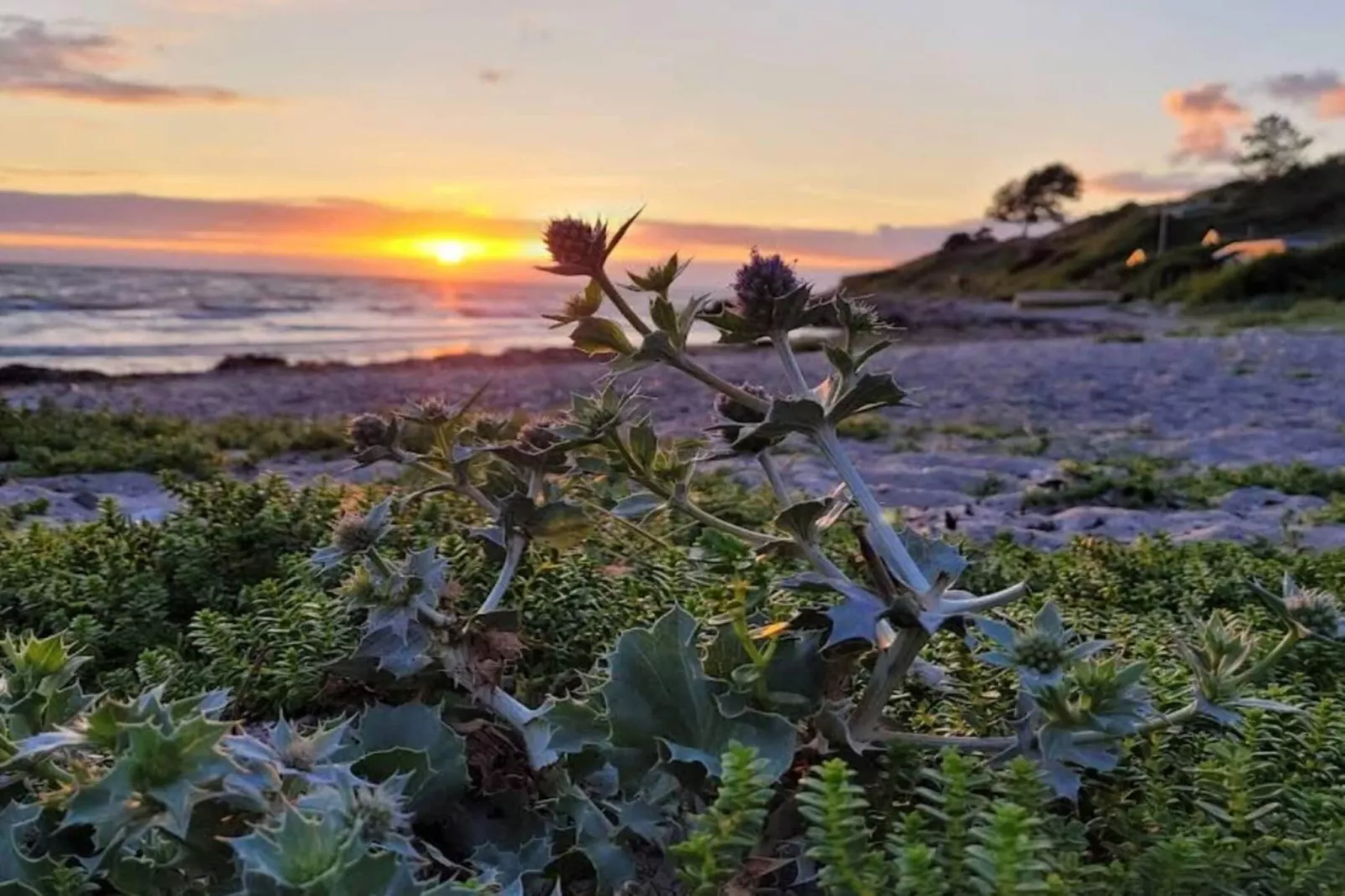4 etoiles maison de vacances a Korsør-Non tagué