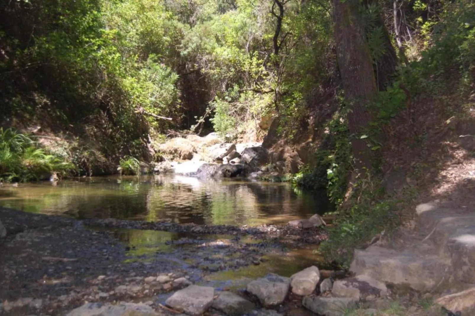 The Rabbit-Areas within 20km in summer