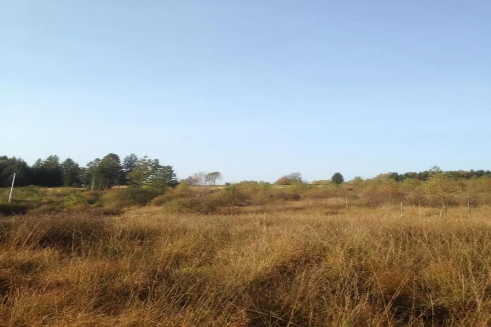 Dreamer-Areas within 5km in summer