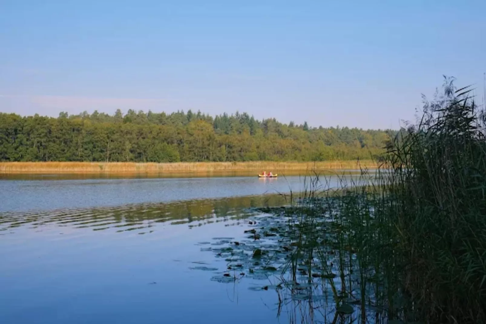 FH Seeschwalbe 221-Areas within 1km in summer