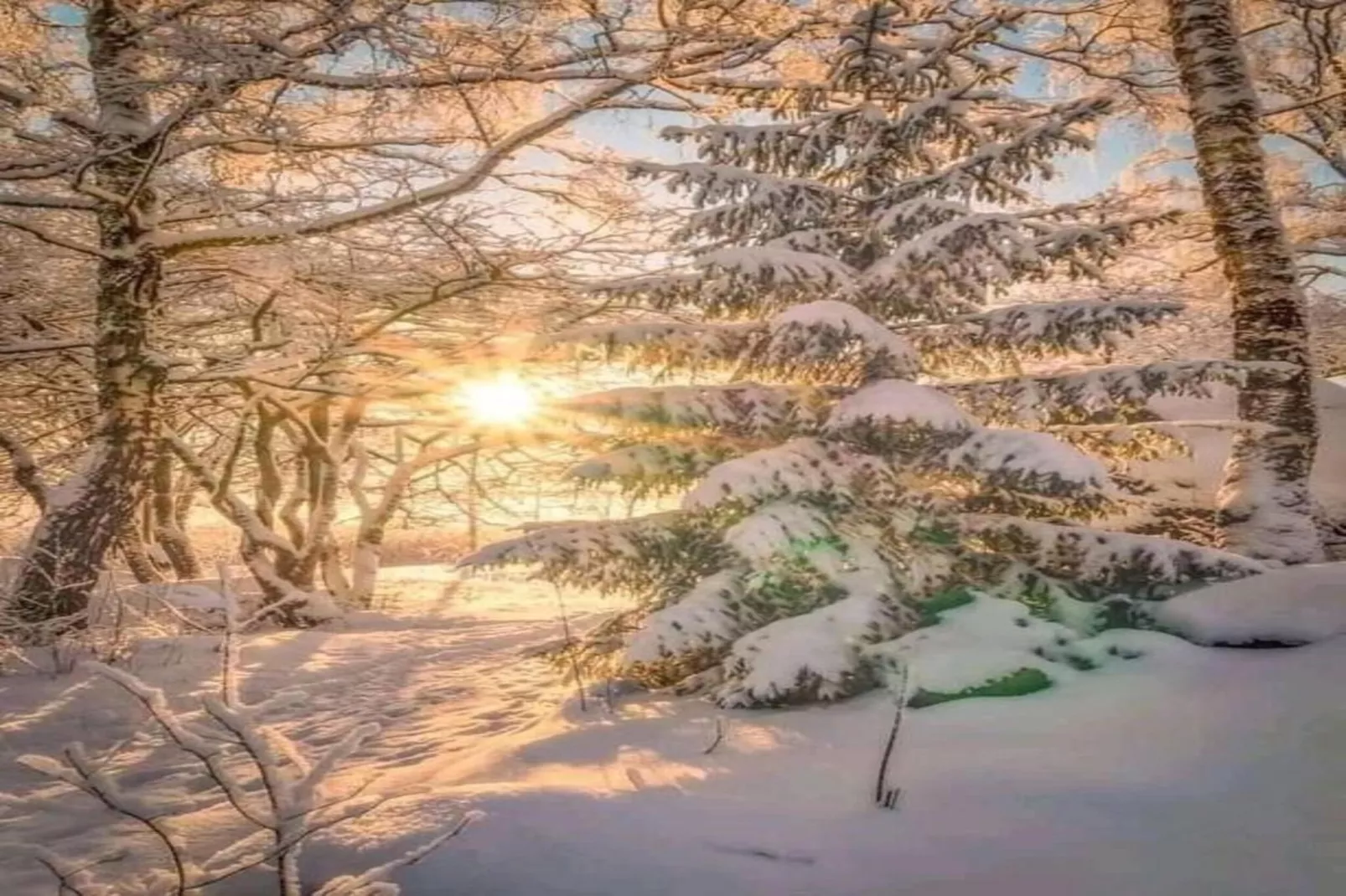 Grande Neige N°33 - 2P5-Area within 5km in winter