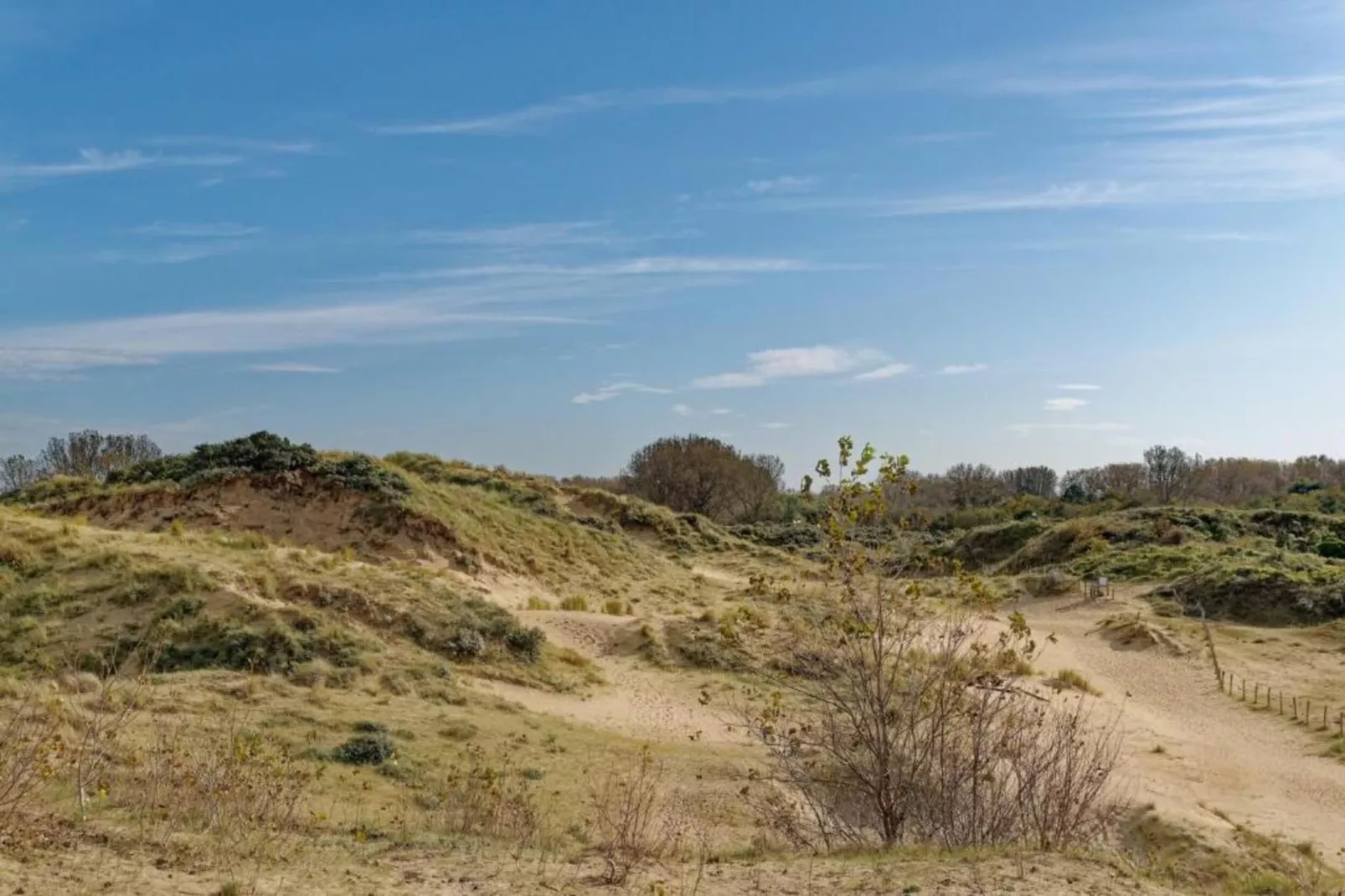 Strand Imperial 0503-Gebiete Sommer 20 km