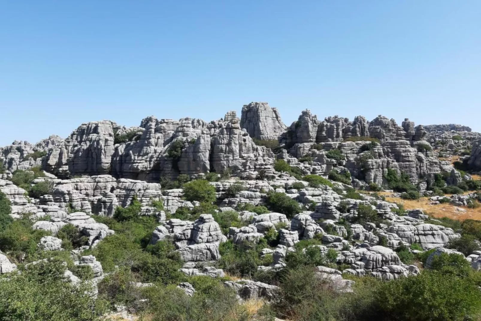 La Villa de Gema-Areas within 20km in summer