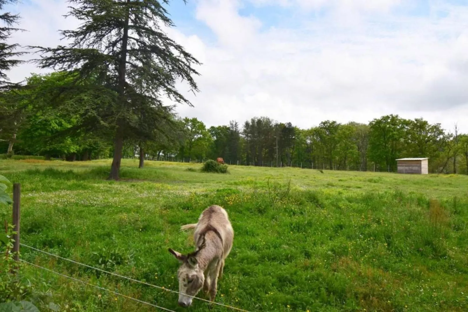 Ecolodge en Sequoia-Gebiete Sommer 20 km