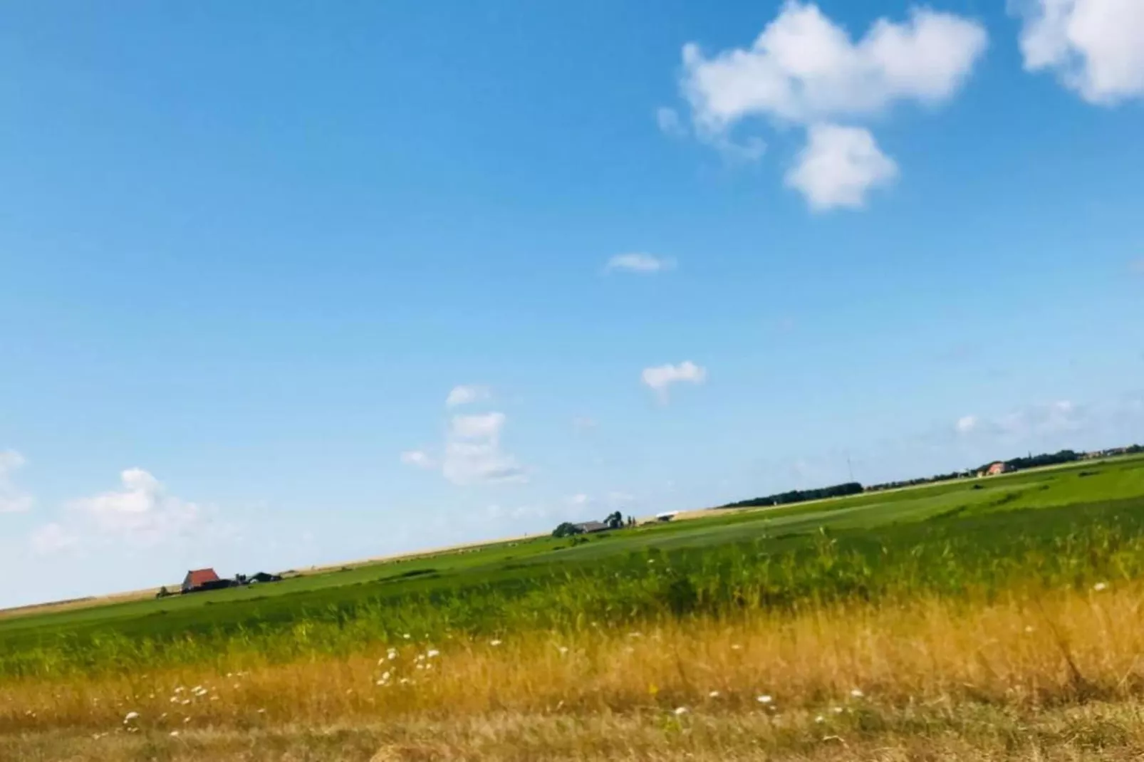 VT 103-Areas within 20km in summer