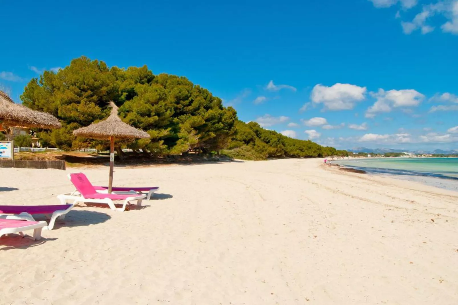Blue Palm Beach-Zones d'été à 20 km