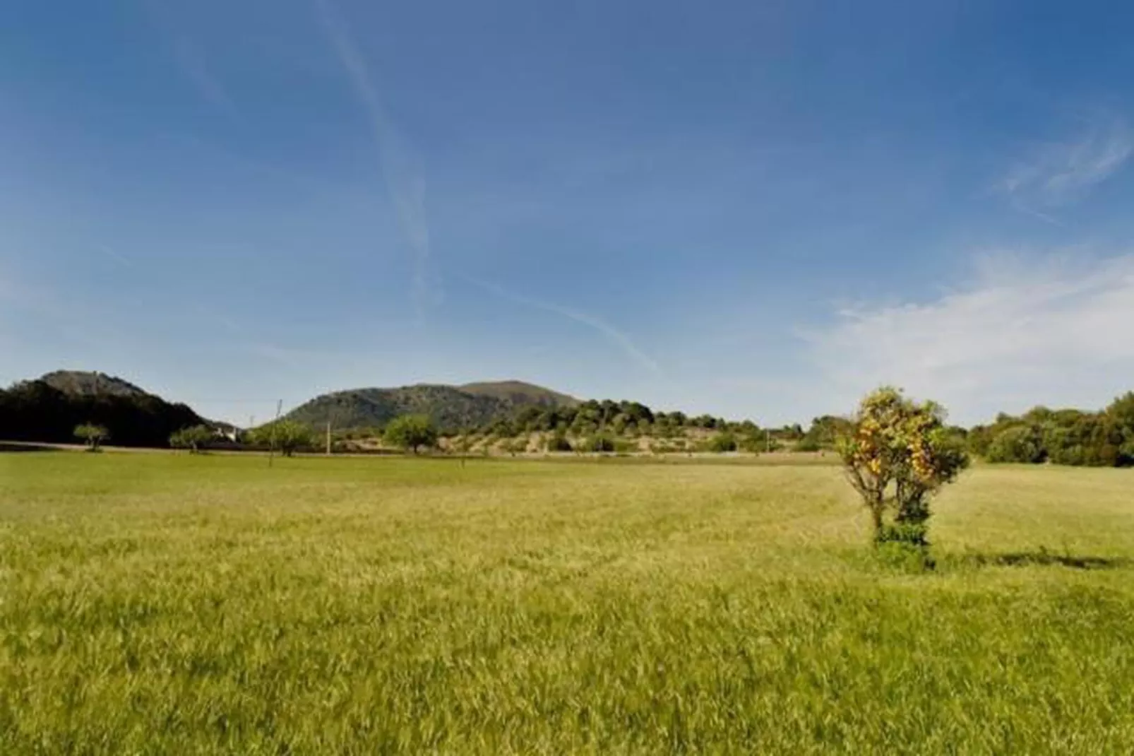 Can Petit-Areas within 20km in summer