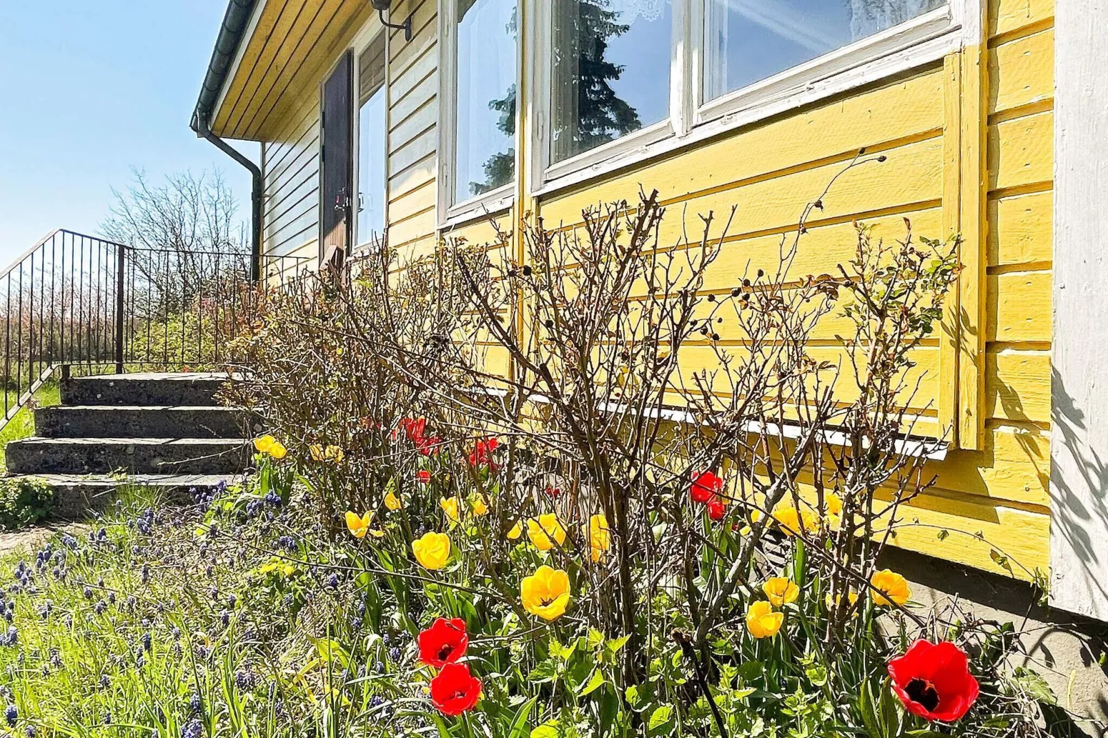 6 person holiday home in BORGHOLM-By Traum-Outdoor