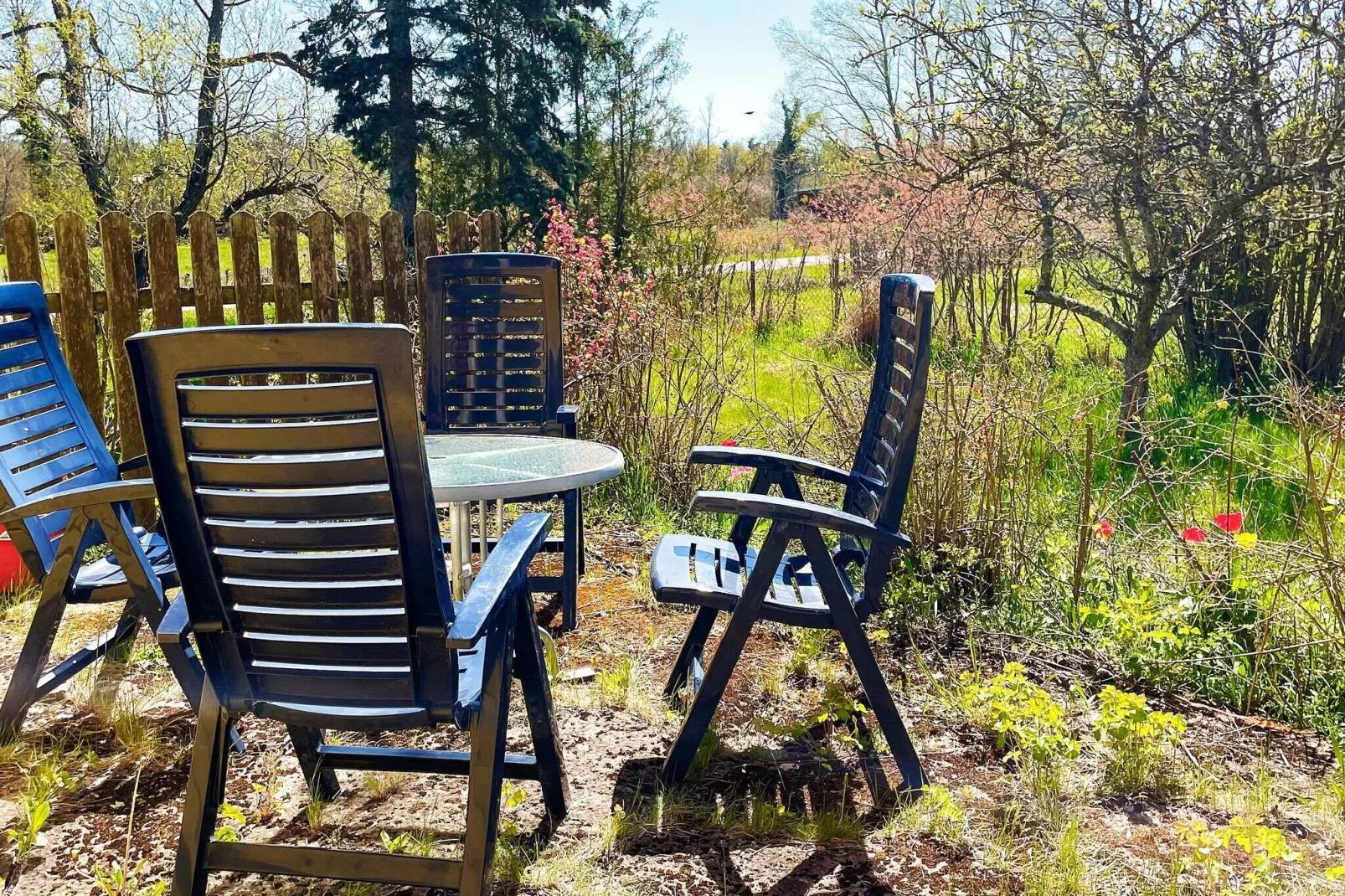 6 person holiday home in BORGHOLM-By Traum-Outdoor