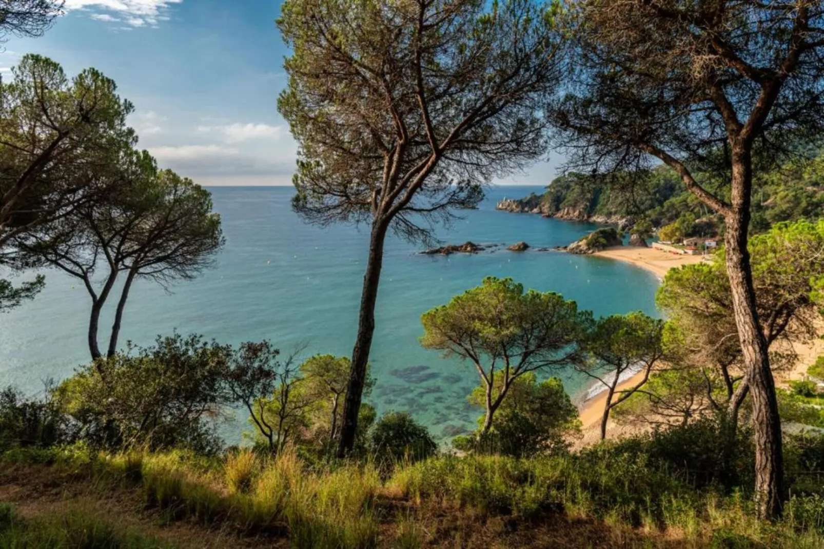 Cristina-Areas summer 20km