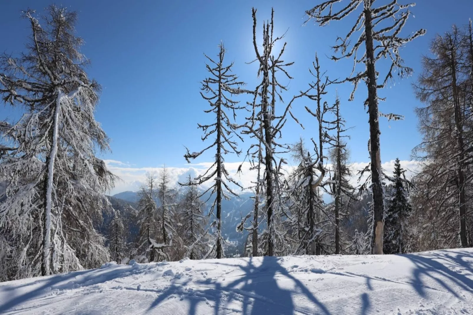 Chalet Ski In - Top 2-Area within 1km in winter