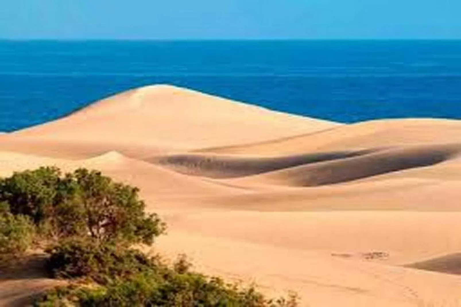 DUPLEXMELONERAS69-Areas within 20km in summer