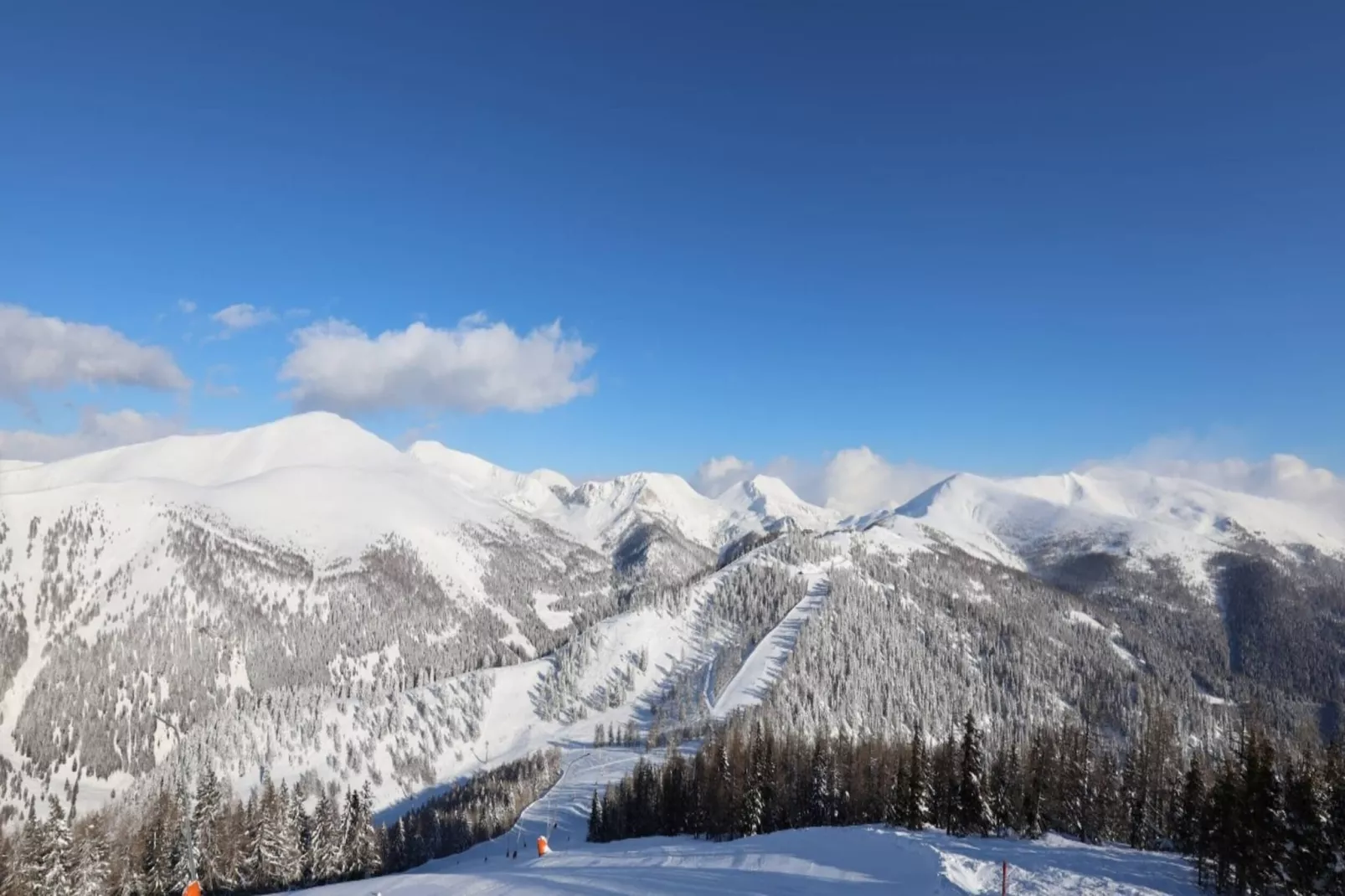 Chalet Ski In - Top 1-Area within 1km in winter