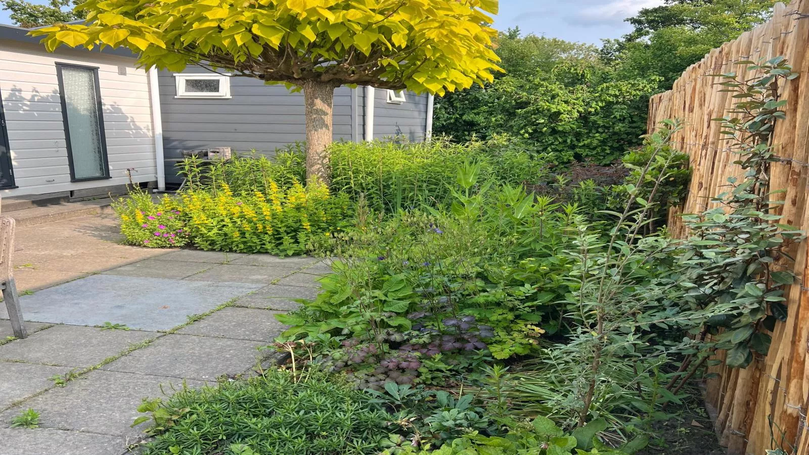 Chalet Sea Birds-Gardens in summer