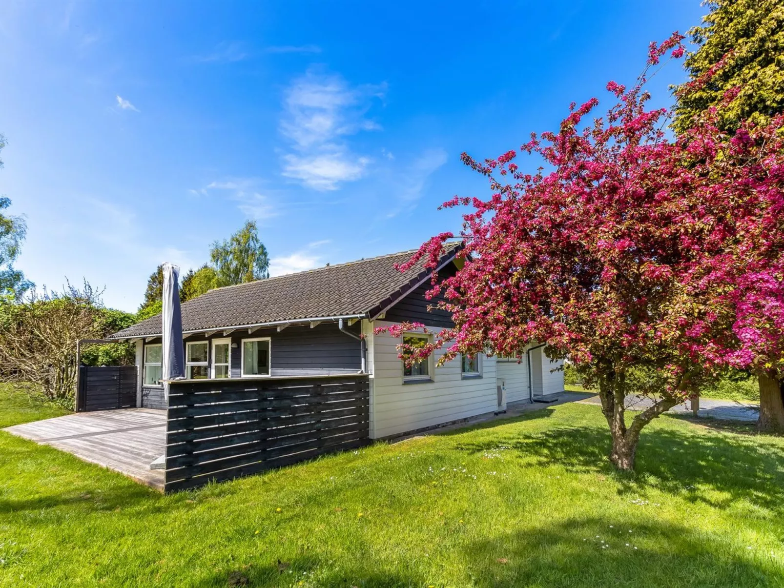 "Prohor" - 150m from the sea-Outside