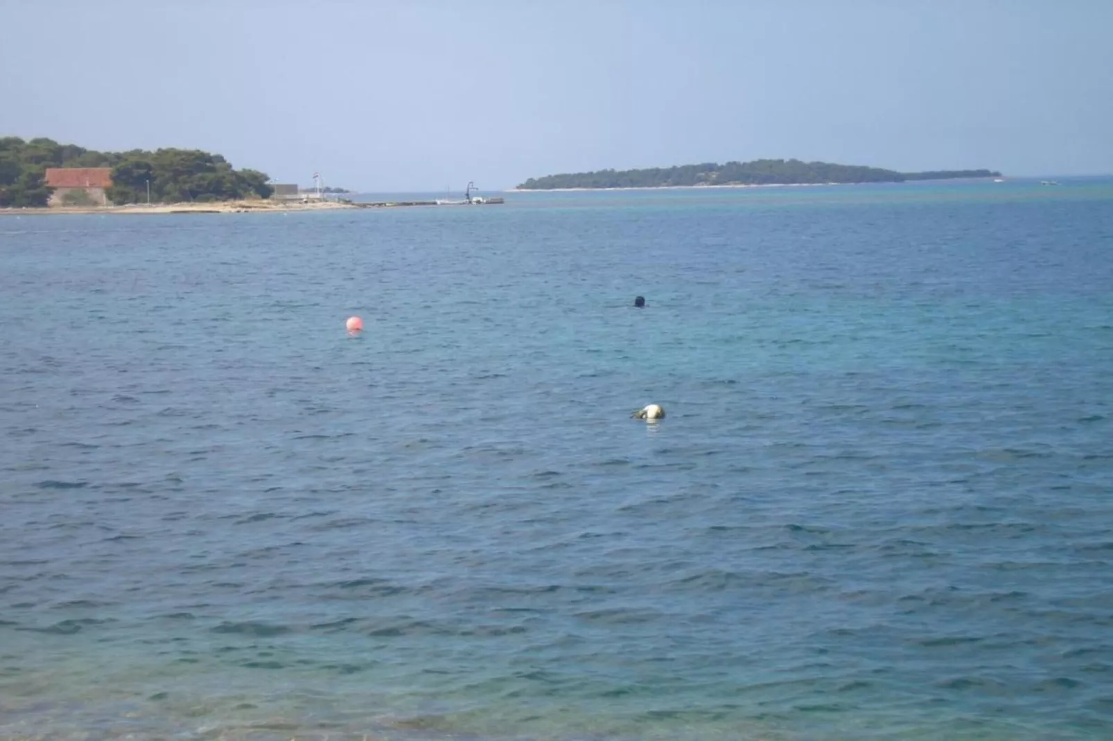 Apartments Gaj Brodarica - A7-Areas within 1km in summer
