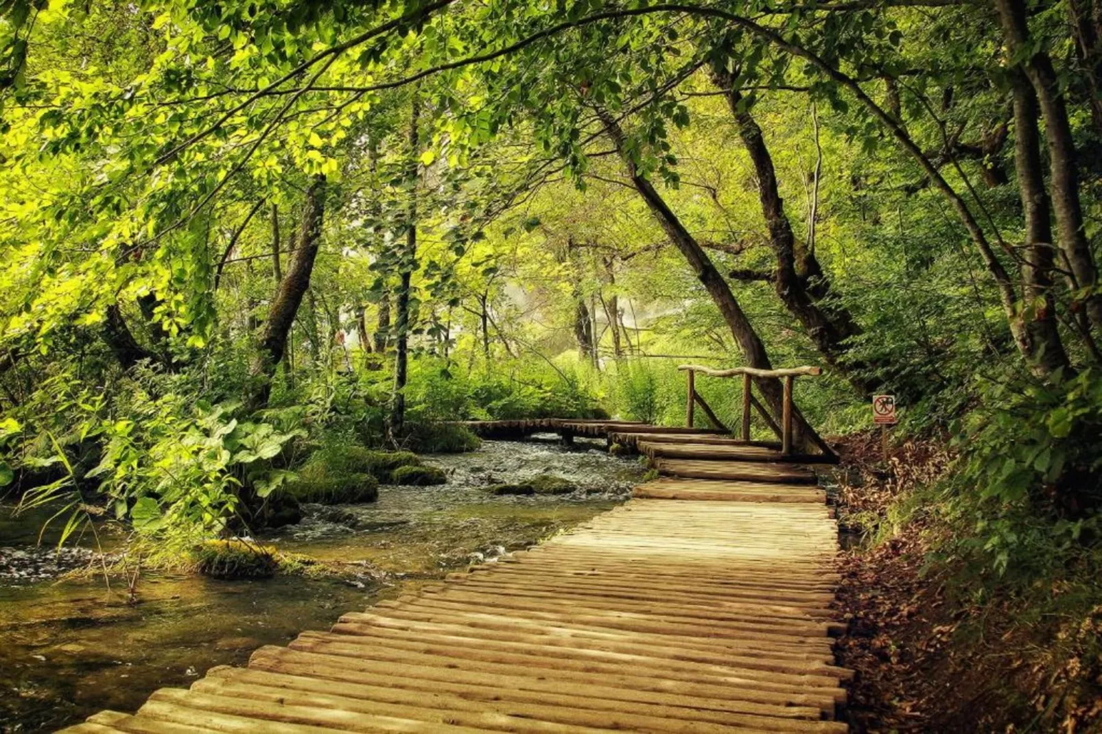 Apartments Torina Pašman - A3-Gebiete Sommer 20 km