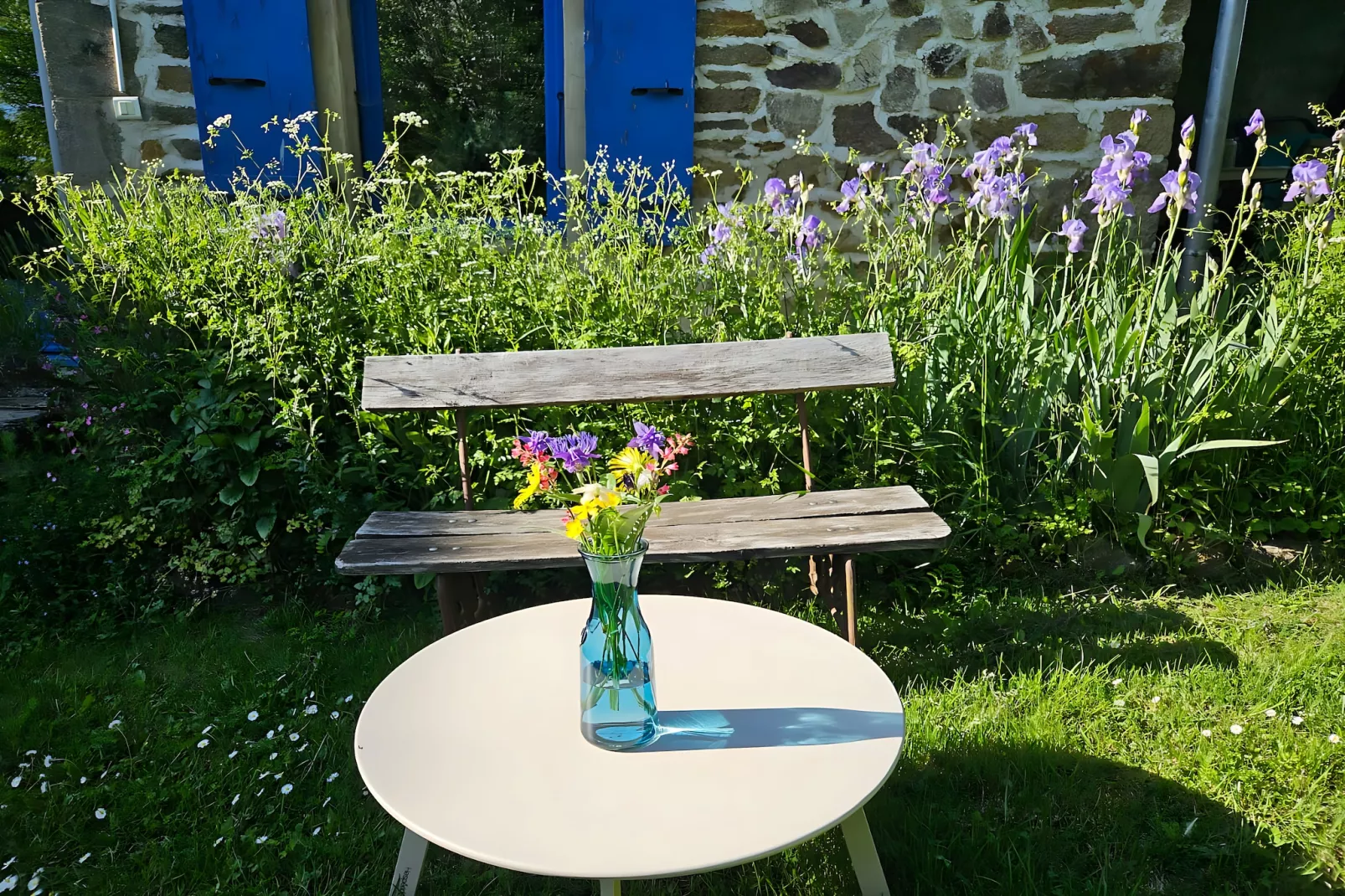 Le Dauphin bleu-Terrasse / balcon
