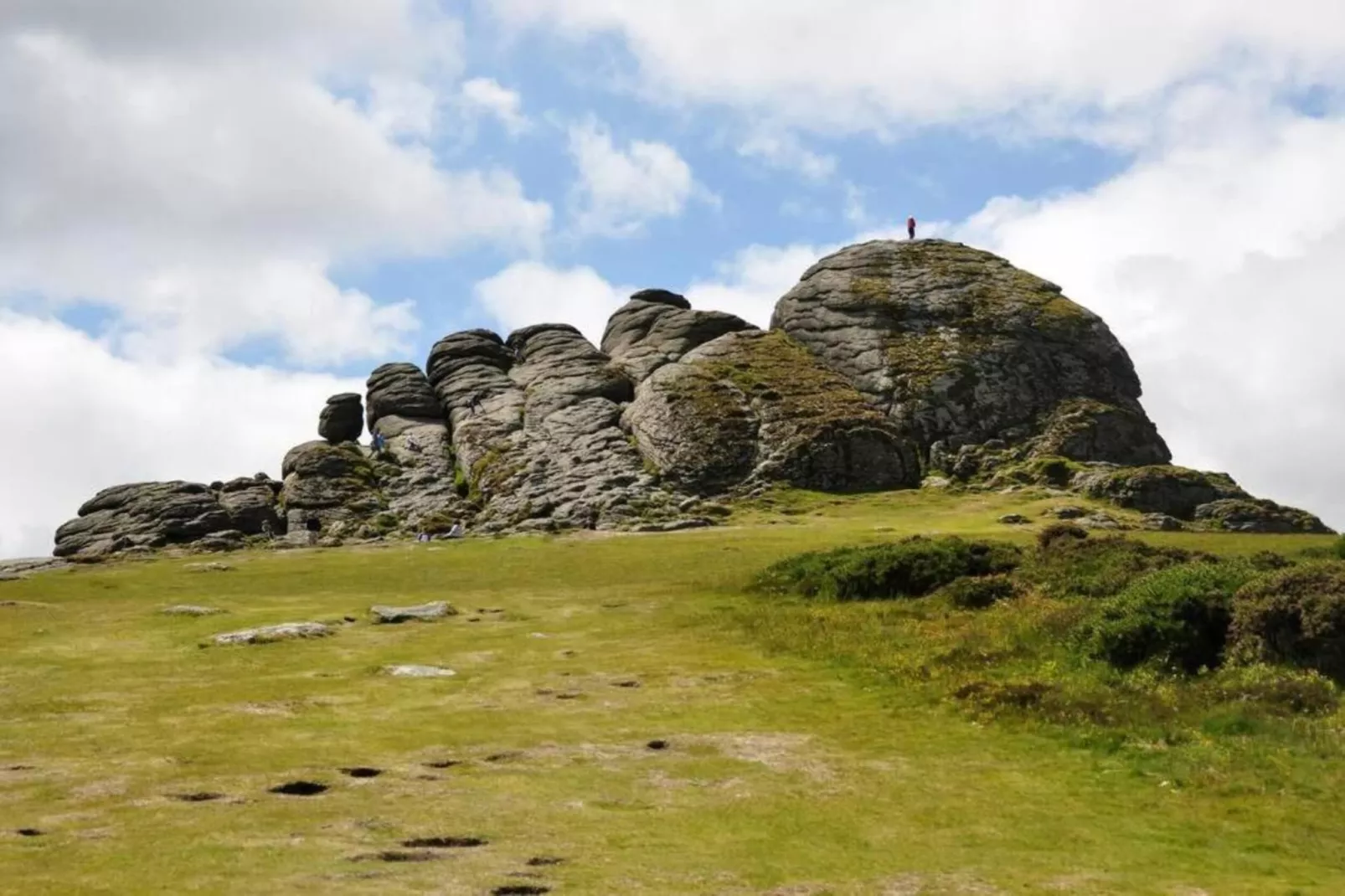 Little Dunley - The Tiny House-Areas within 5km in summer