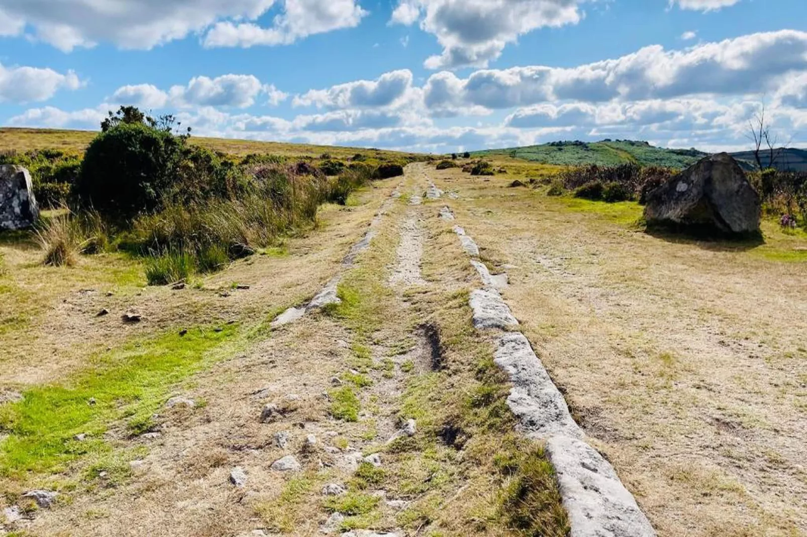 Little Dunley - Hazel-Gebiete Sommer 20 km