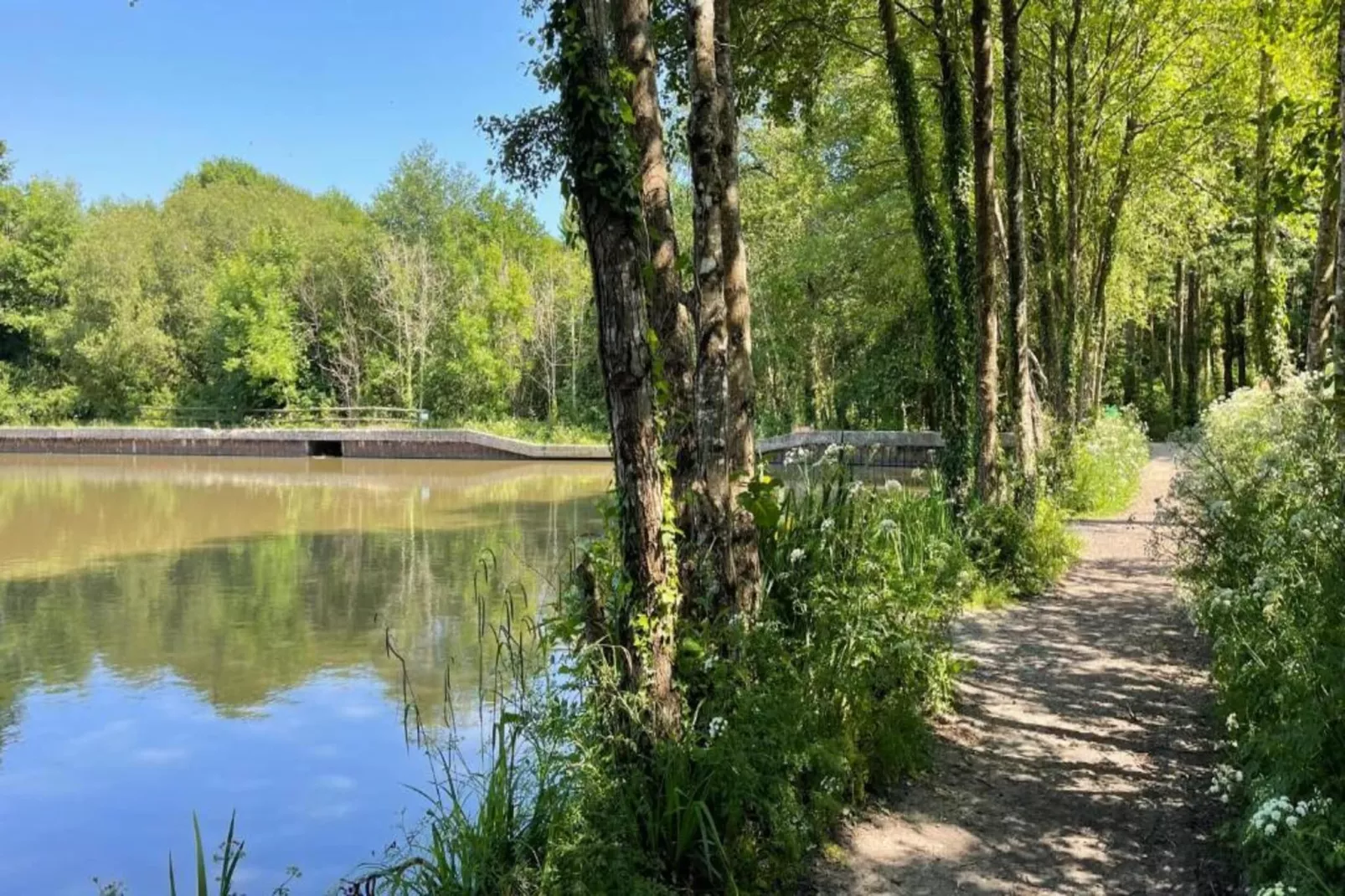 Little Dunley - Holly-Gebiete Sommer 5 km
