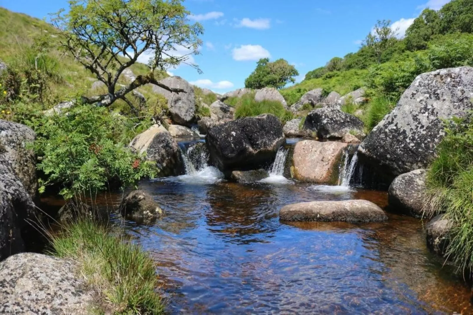 Little Dunley - Apple Lodge-Areas within 5km in summer