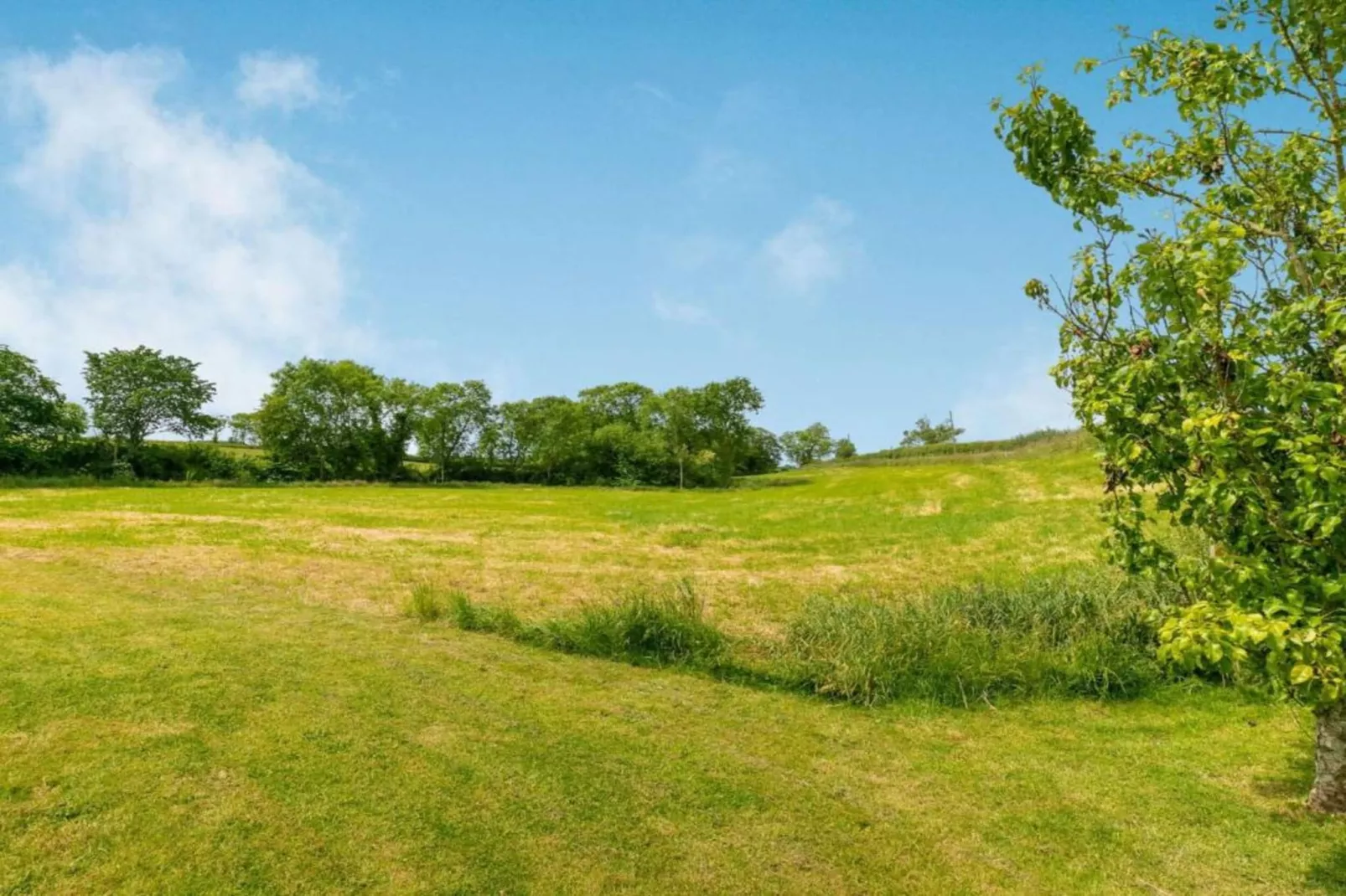Worm Dale-Gebiete Sommer 5 km