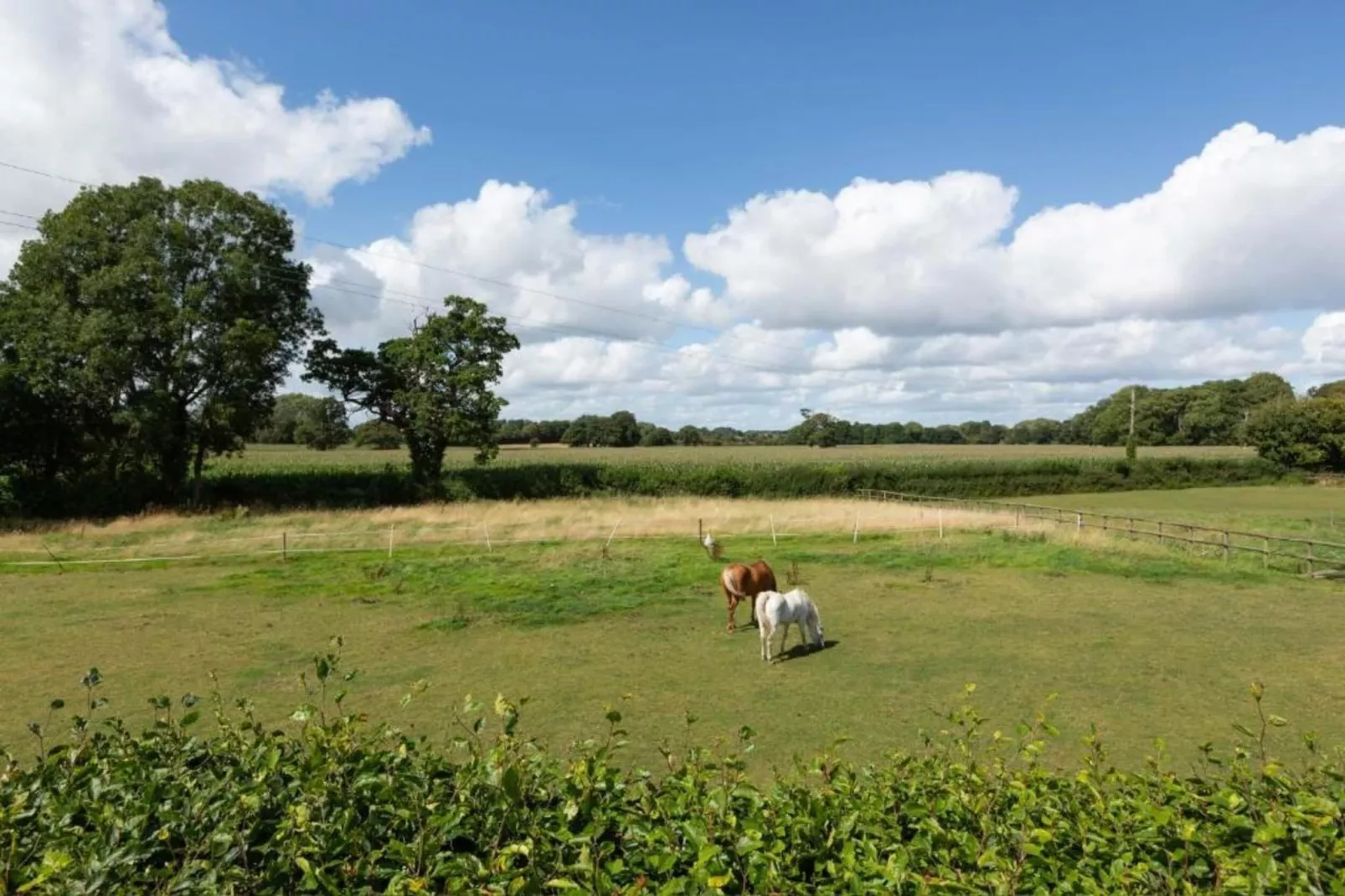 Netley Hall - Lavender-Areas within 5km in summer