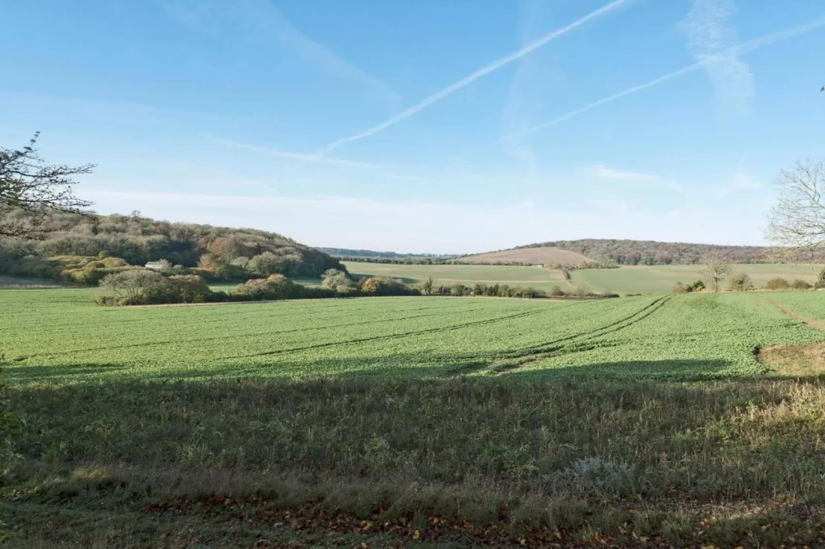 South Downs Lodge-Areas within 20km in summer