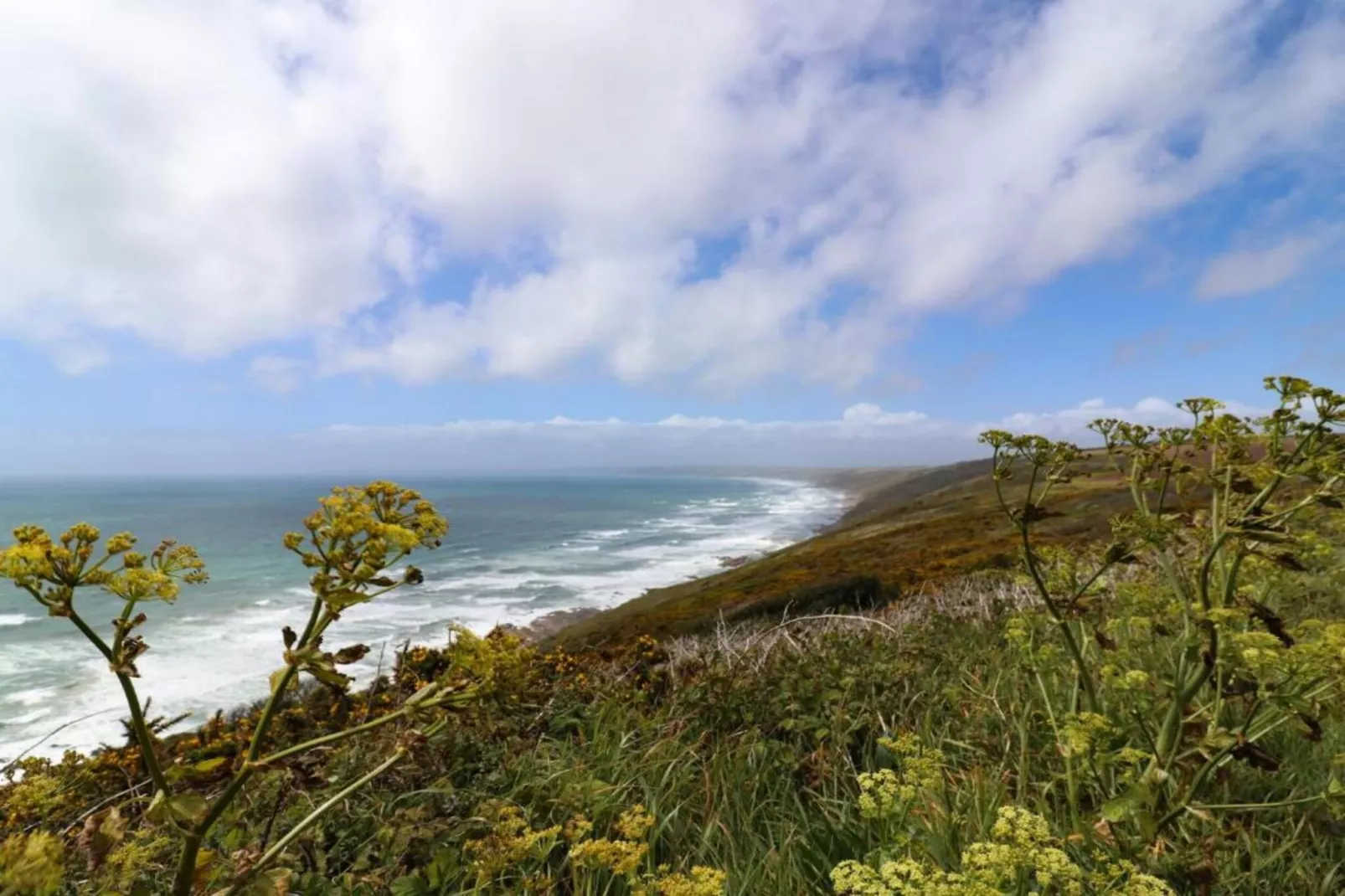 Cawsand Cottage-Areas within 1km in summer