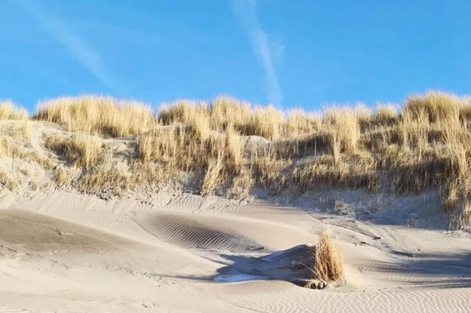 Vlugtenburg 16-Gebiete Sommer 20 km