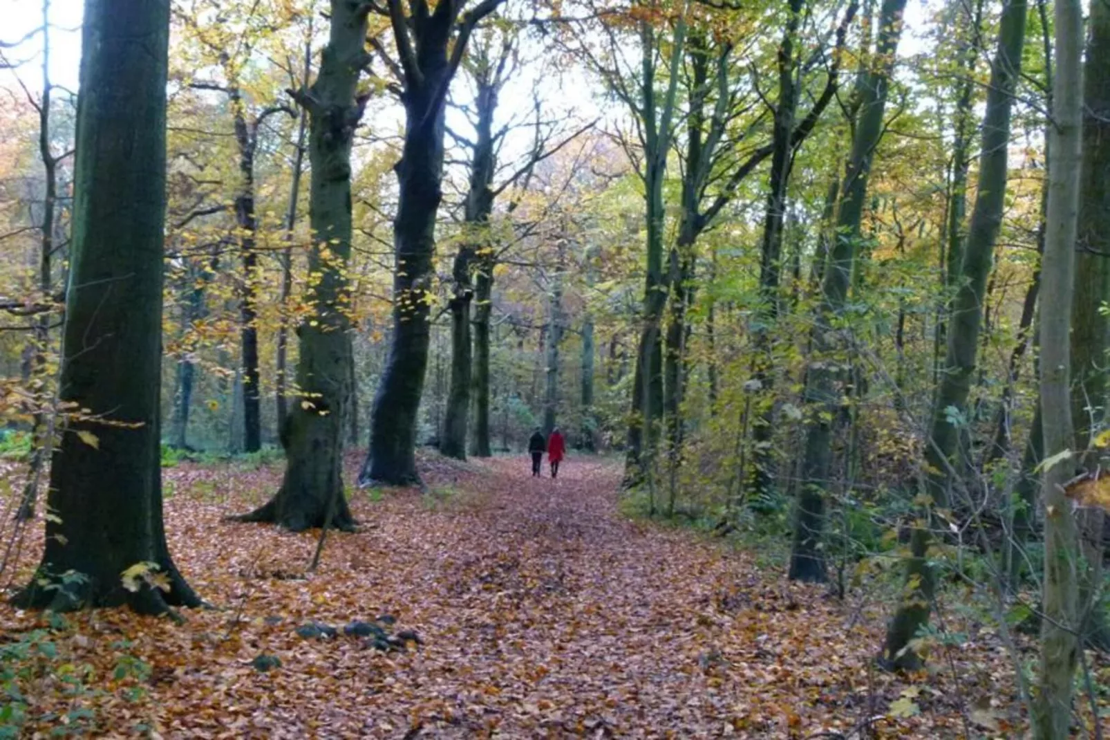Strandpark Vlugtenburg 15-Zones été à 20 km
