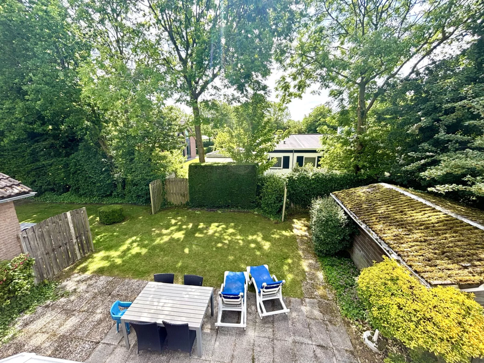 Boszicht 4