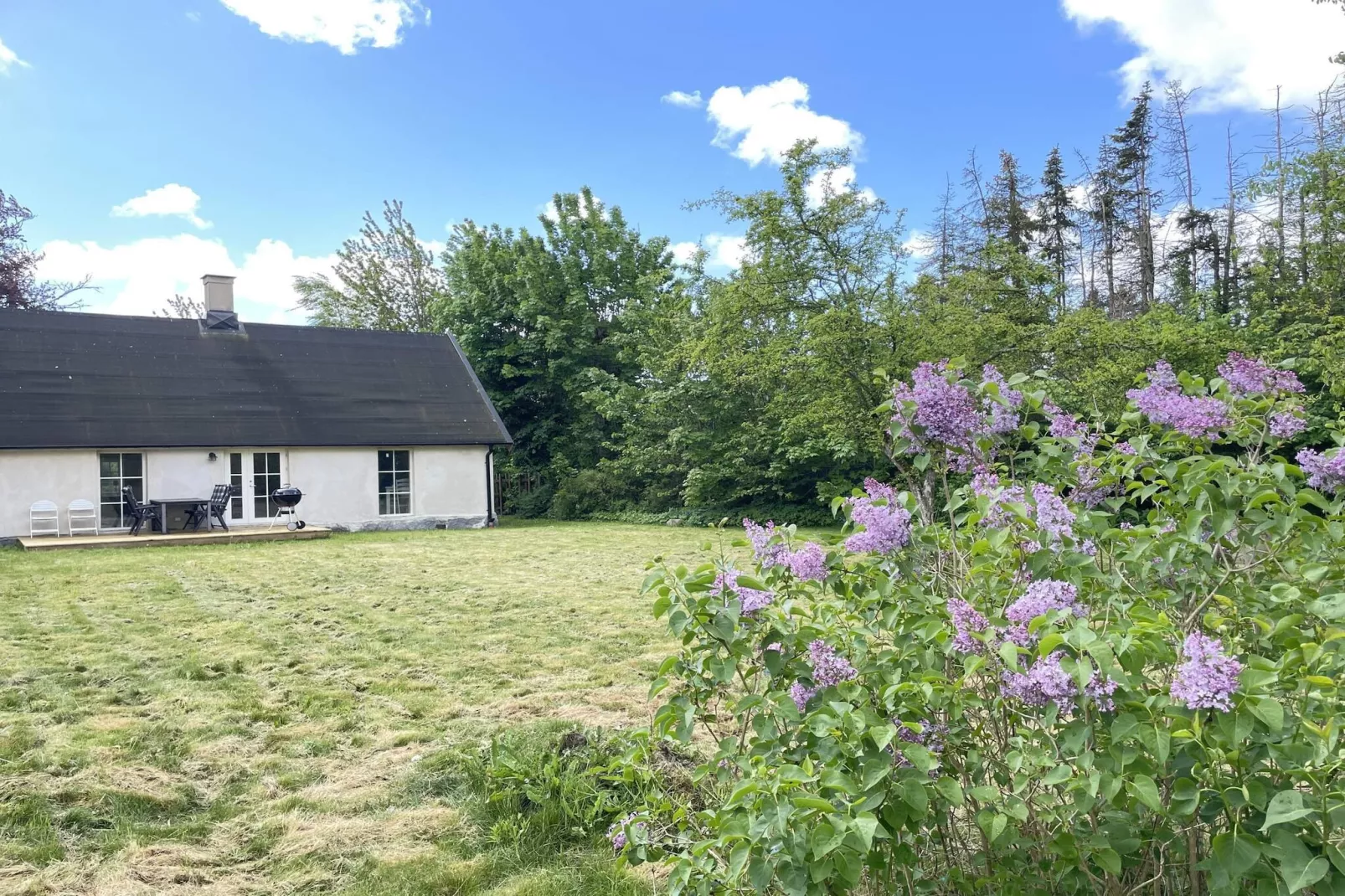 5 Sterne Ferienhaus in HAMMENHÖG