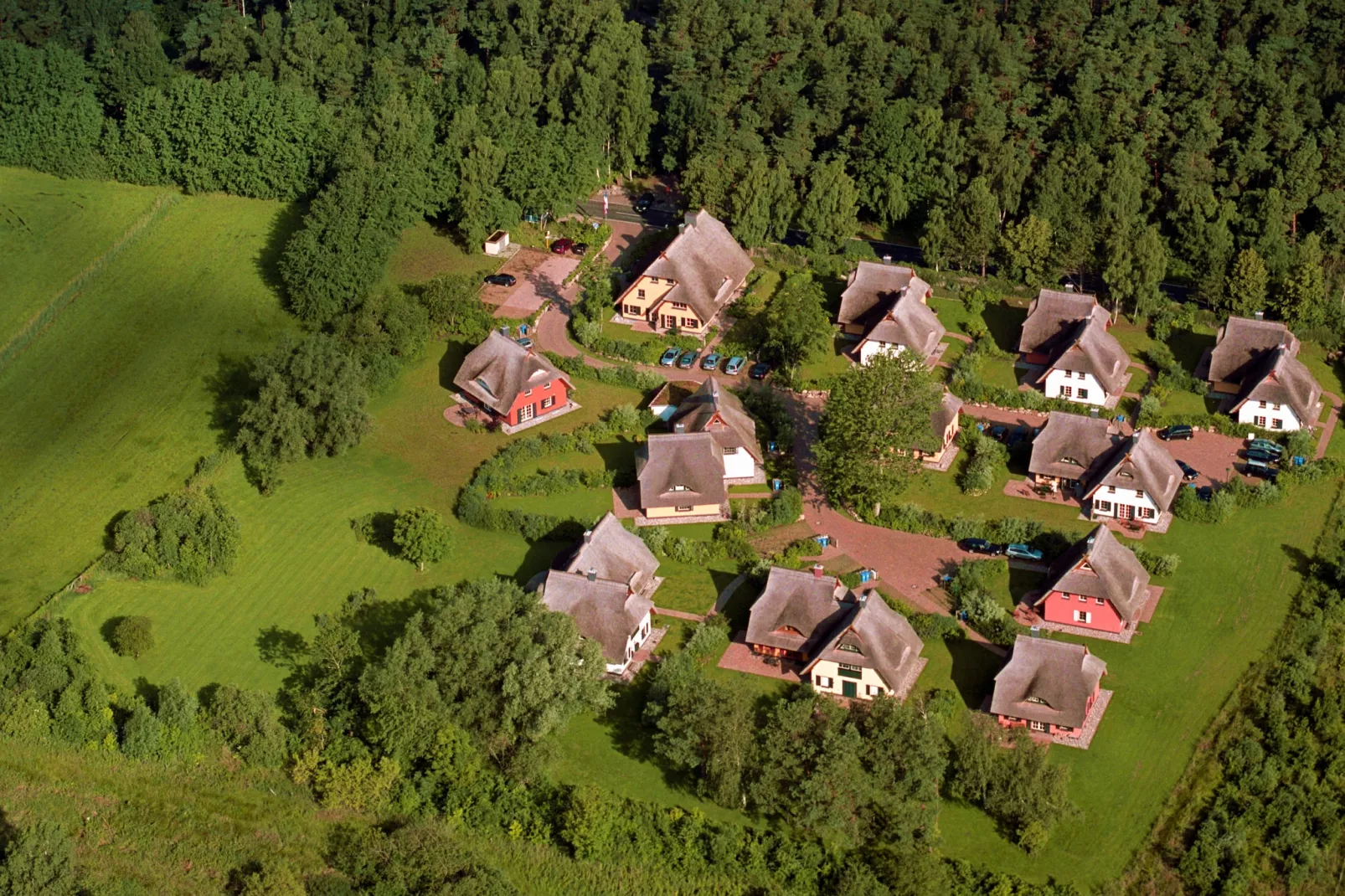 Ferienhaus Küstenwald groß - Strandhotel Fischland