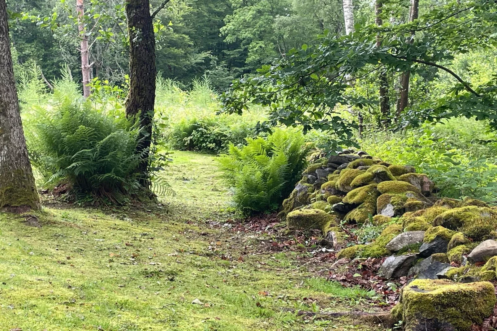 Maison de vacances pour 4 a ARKELSTORP
