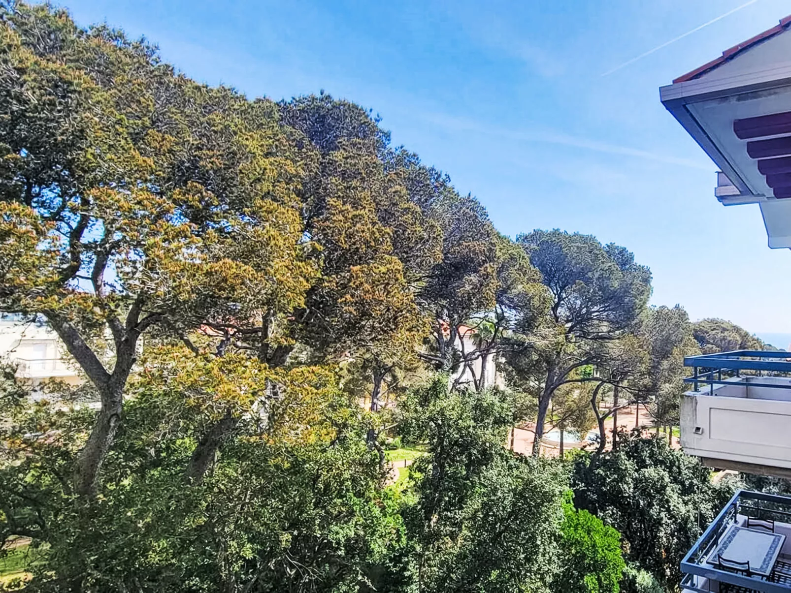 Le Grand Parc