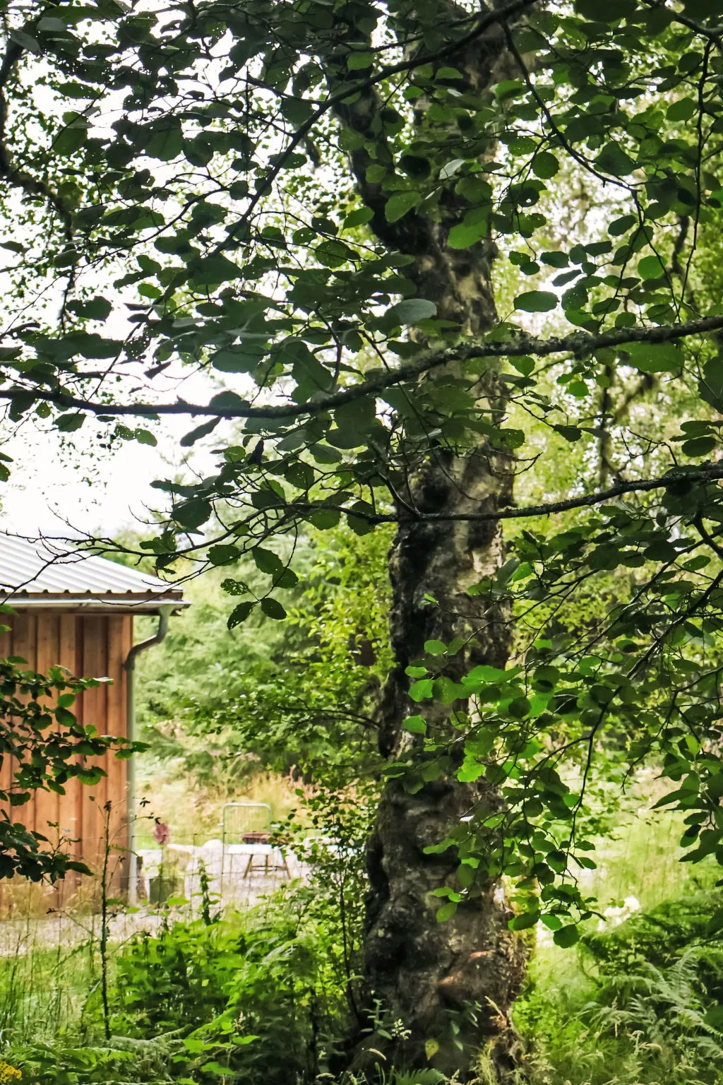 G-Wilderness Cabin