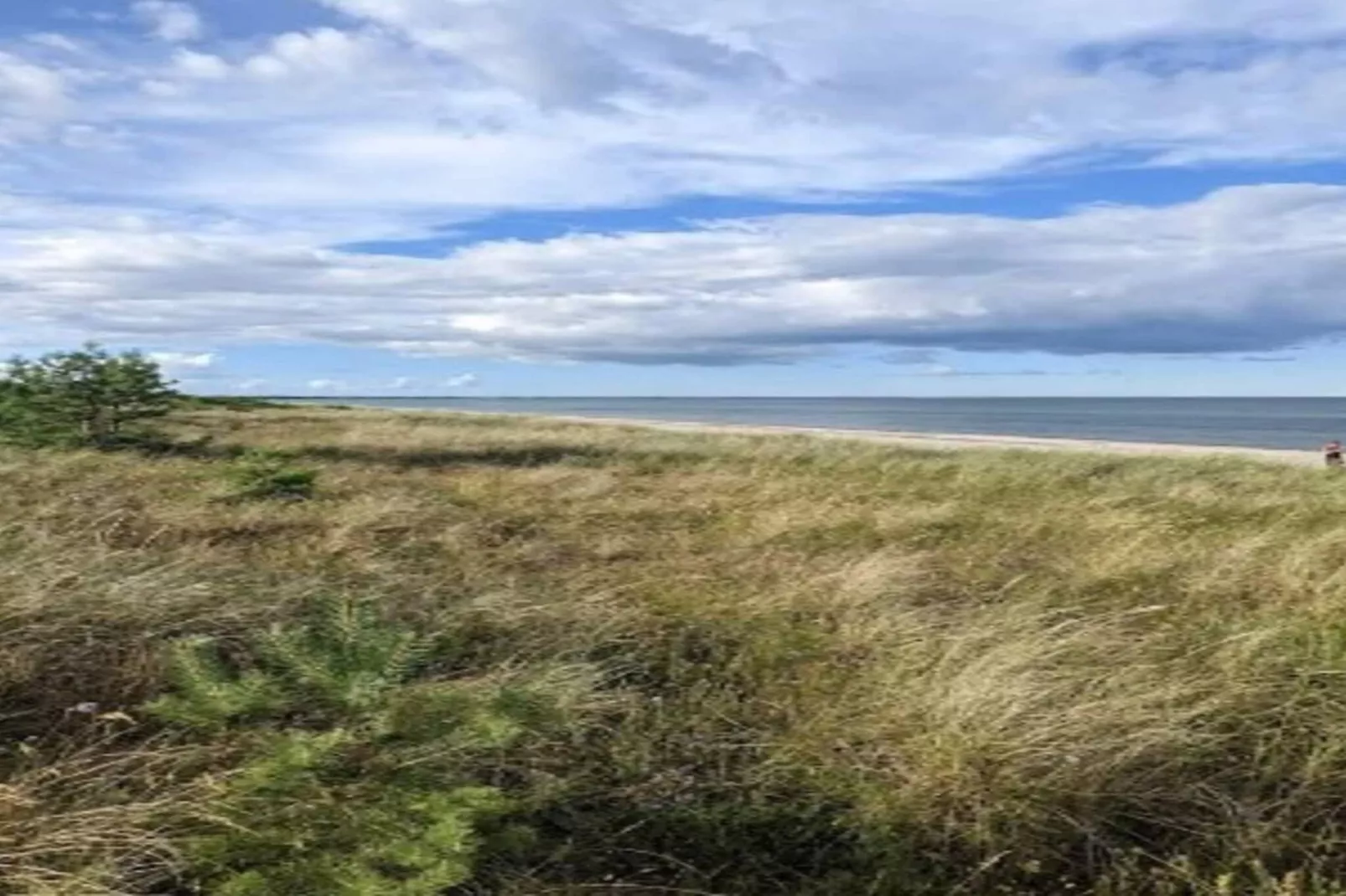 5 person holiday home in Millinge-Outdoor