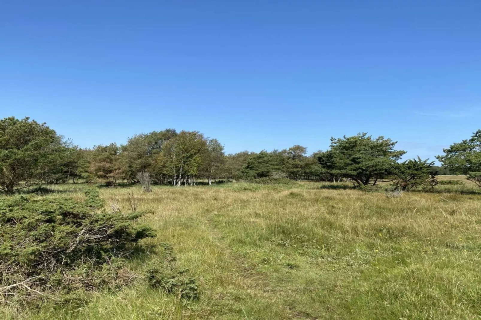 Serenite en bord de mer a Als Odde-By Traum-Non tagué