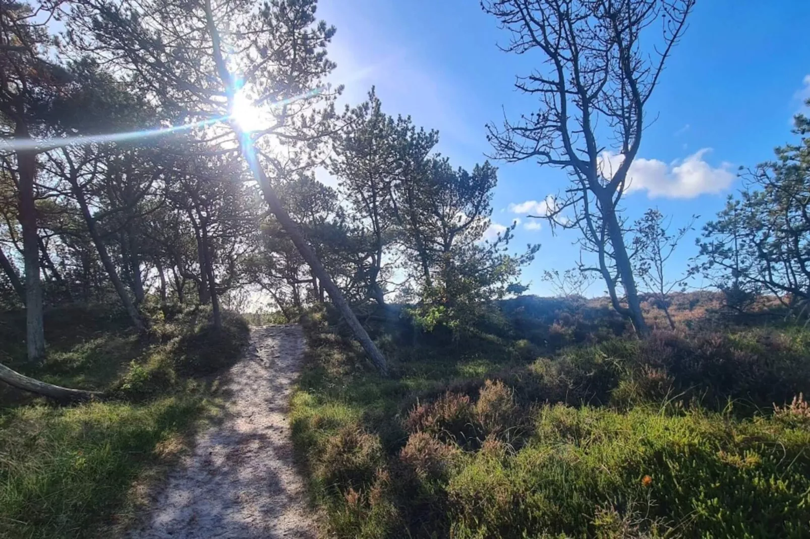 6 person holiday home in Rømø-By Traum-Untagged